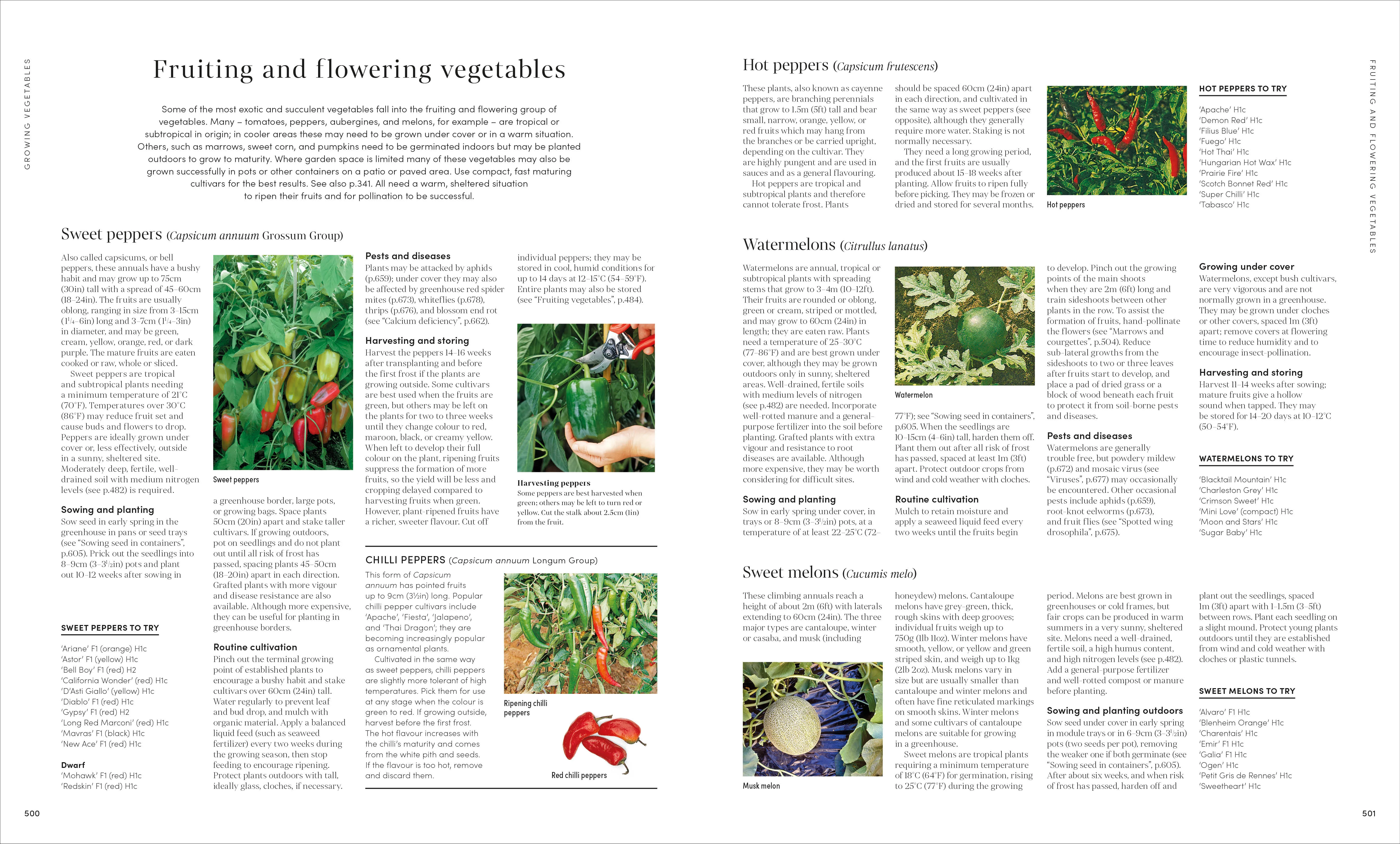 RHS Encyclopedia of Gardening New Edition - Image 7