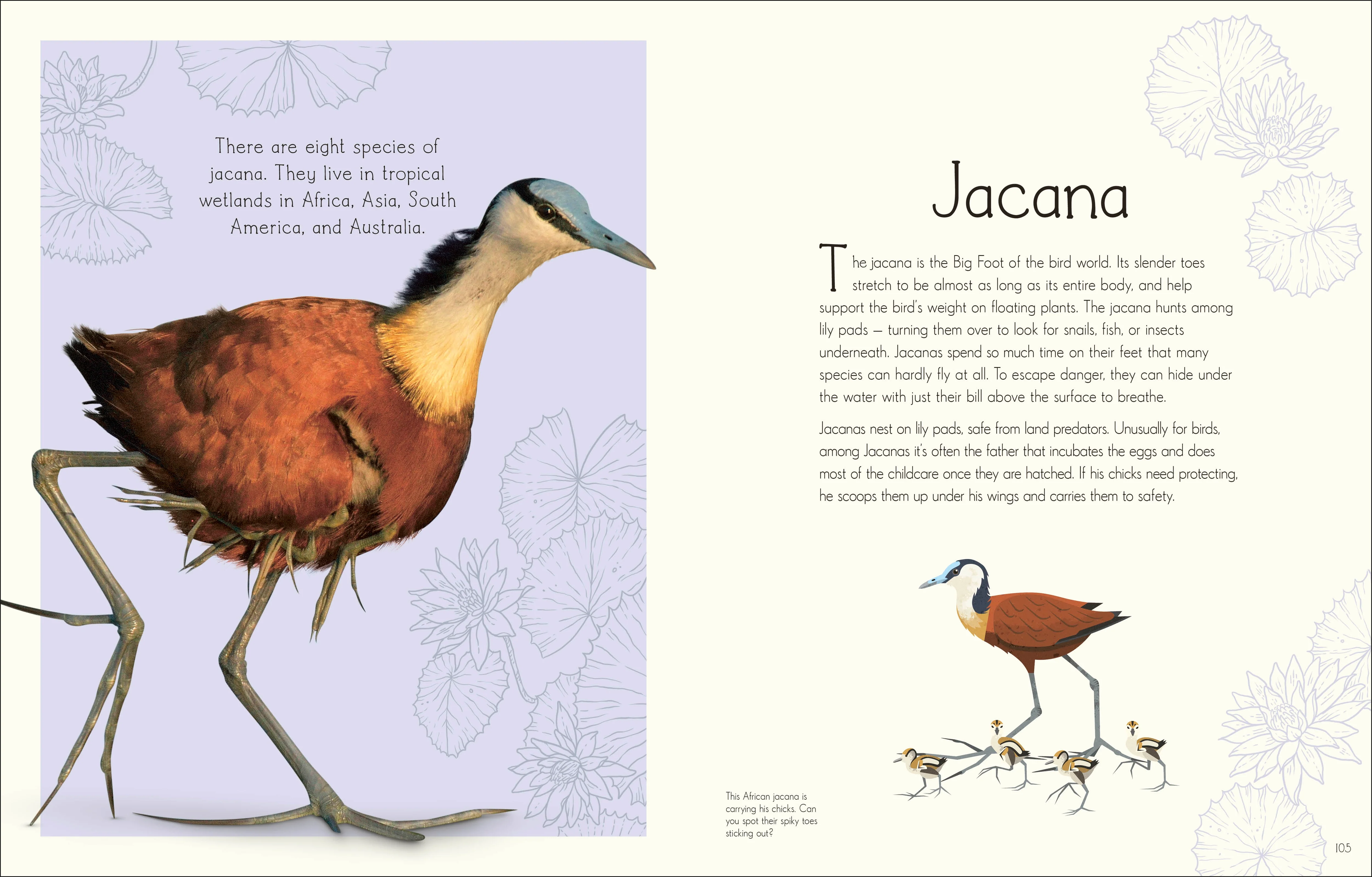 An Anthology of Aquatic Life - Image 2