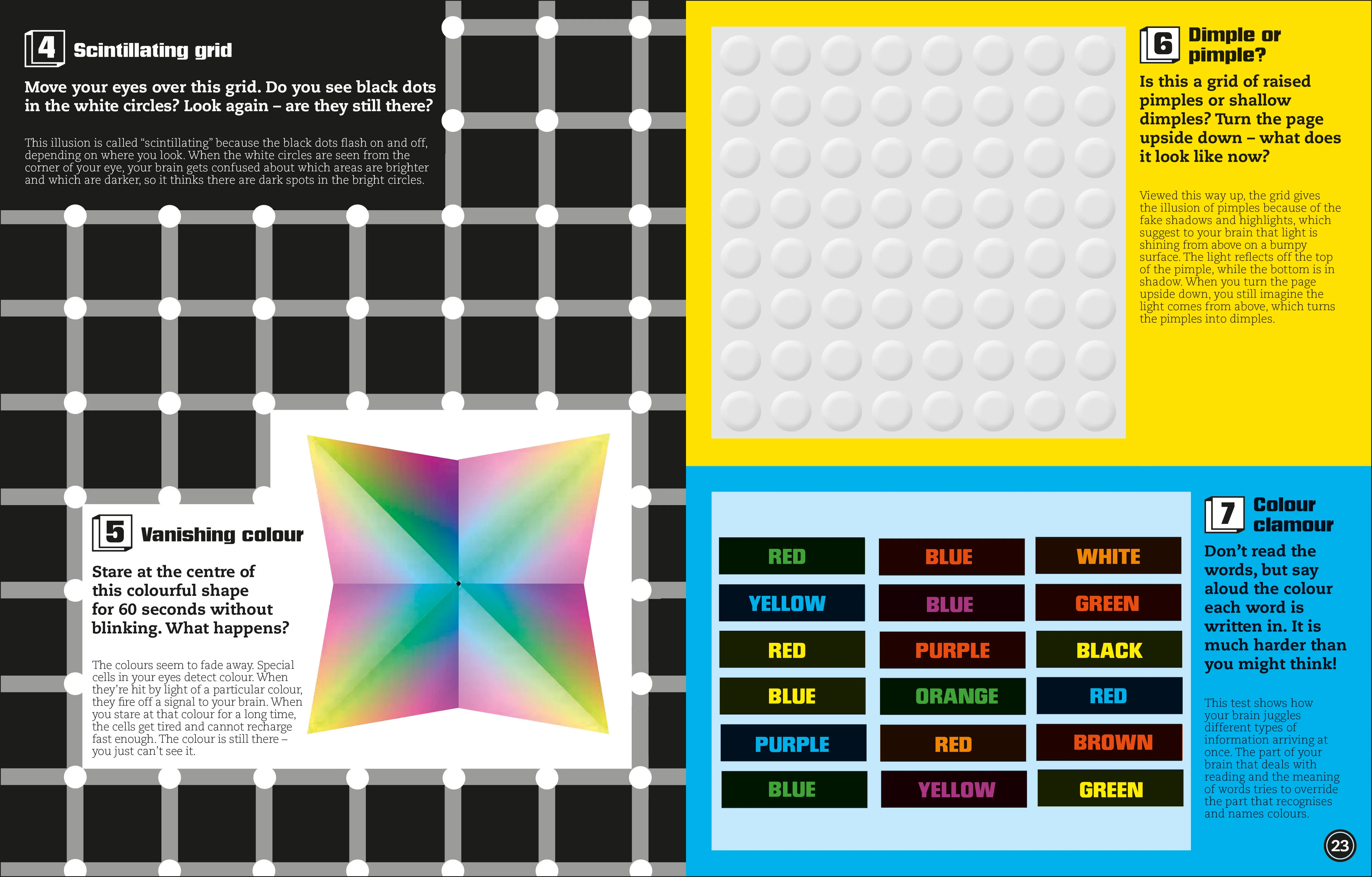 Optical Illusions - Image 4
