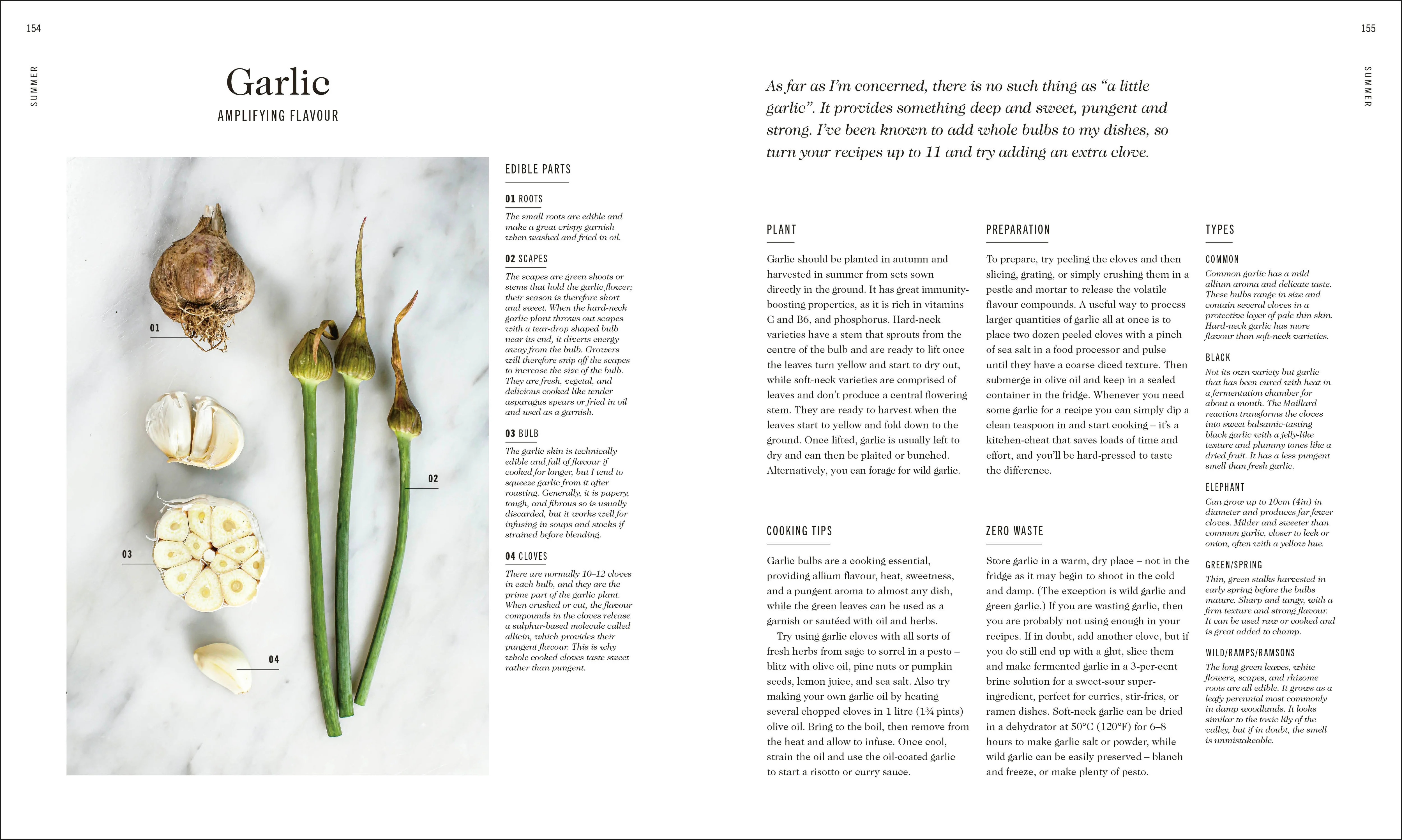 The Complete Vegetable Cookbook - Image 4