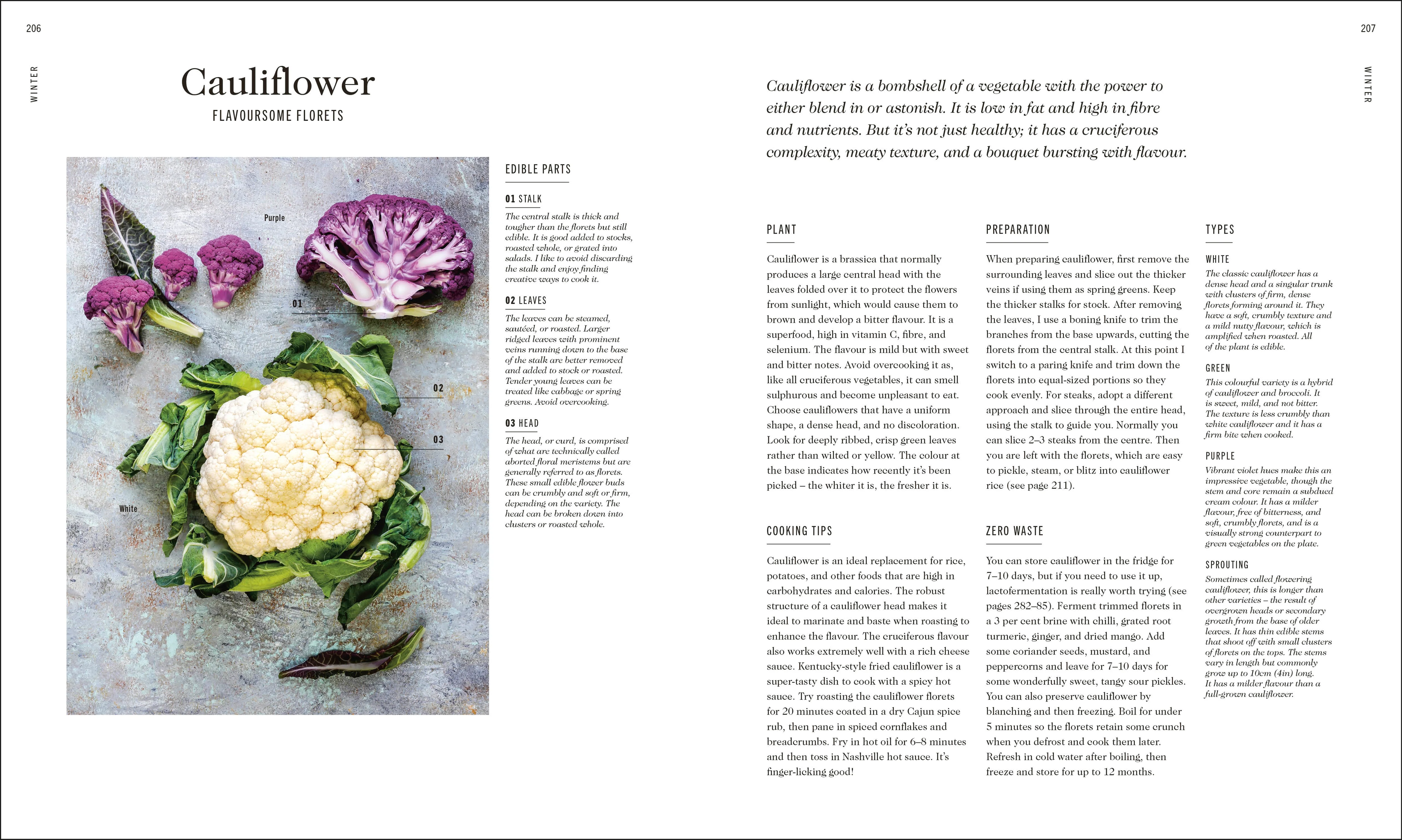 The Complete Vegetable Cookbook - Image 6