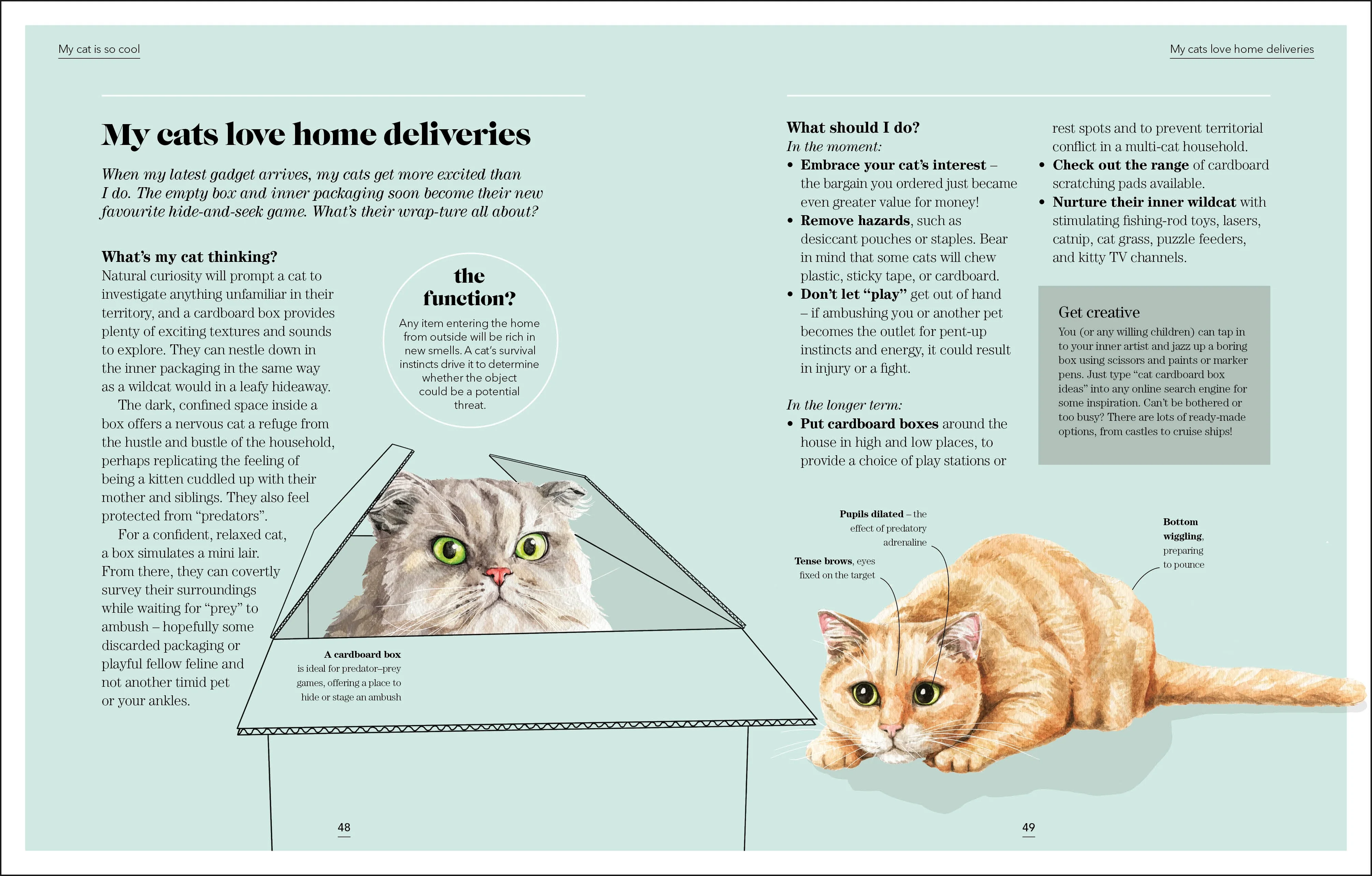 What's My Cat Thinking? - Image 2