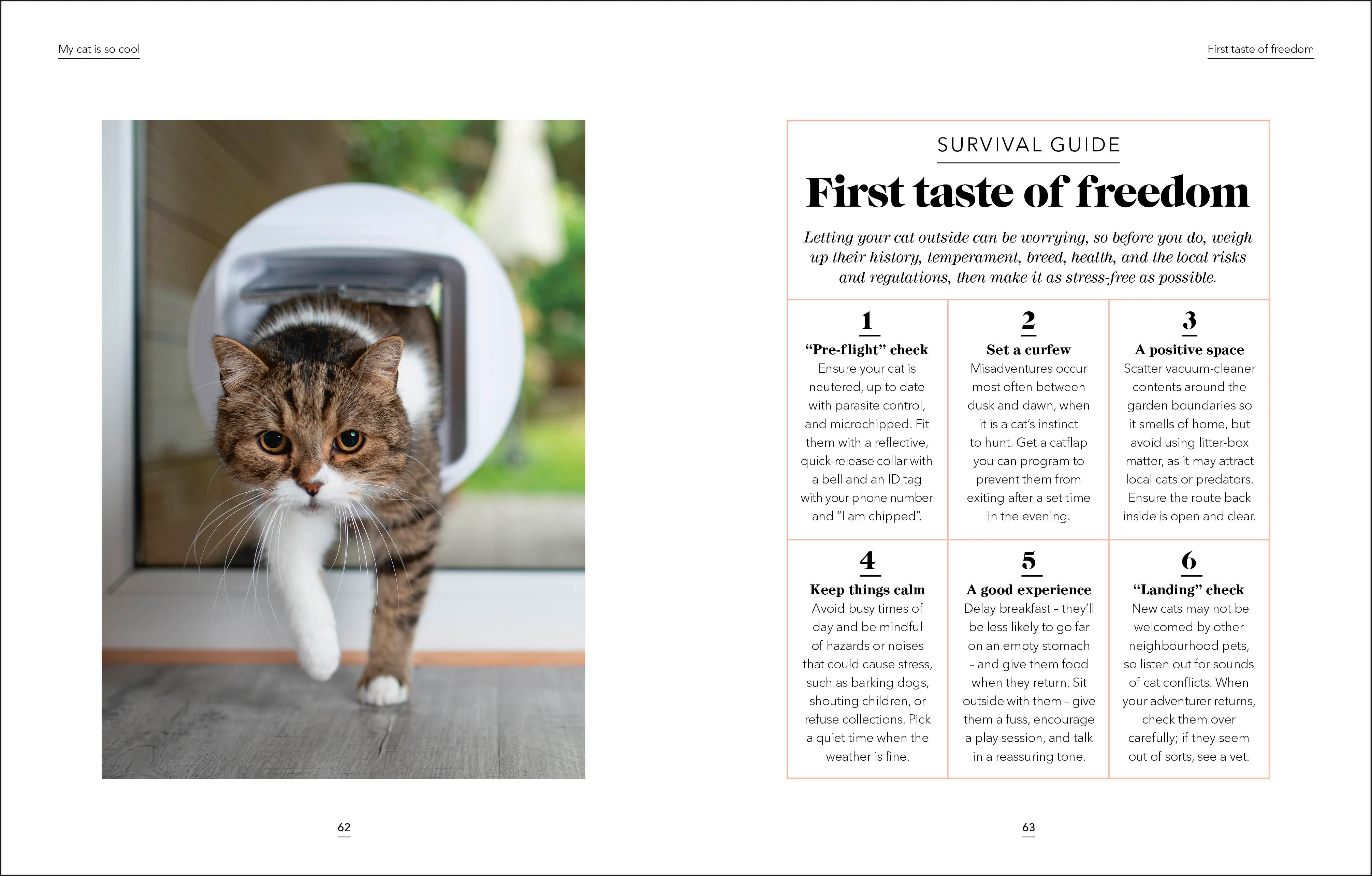 What's My Cat Thinking? - Image 3