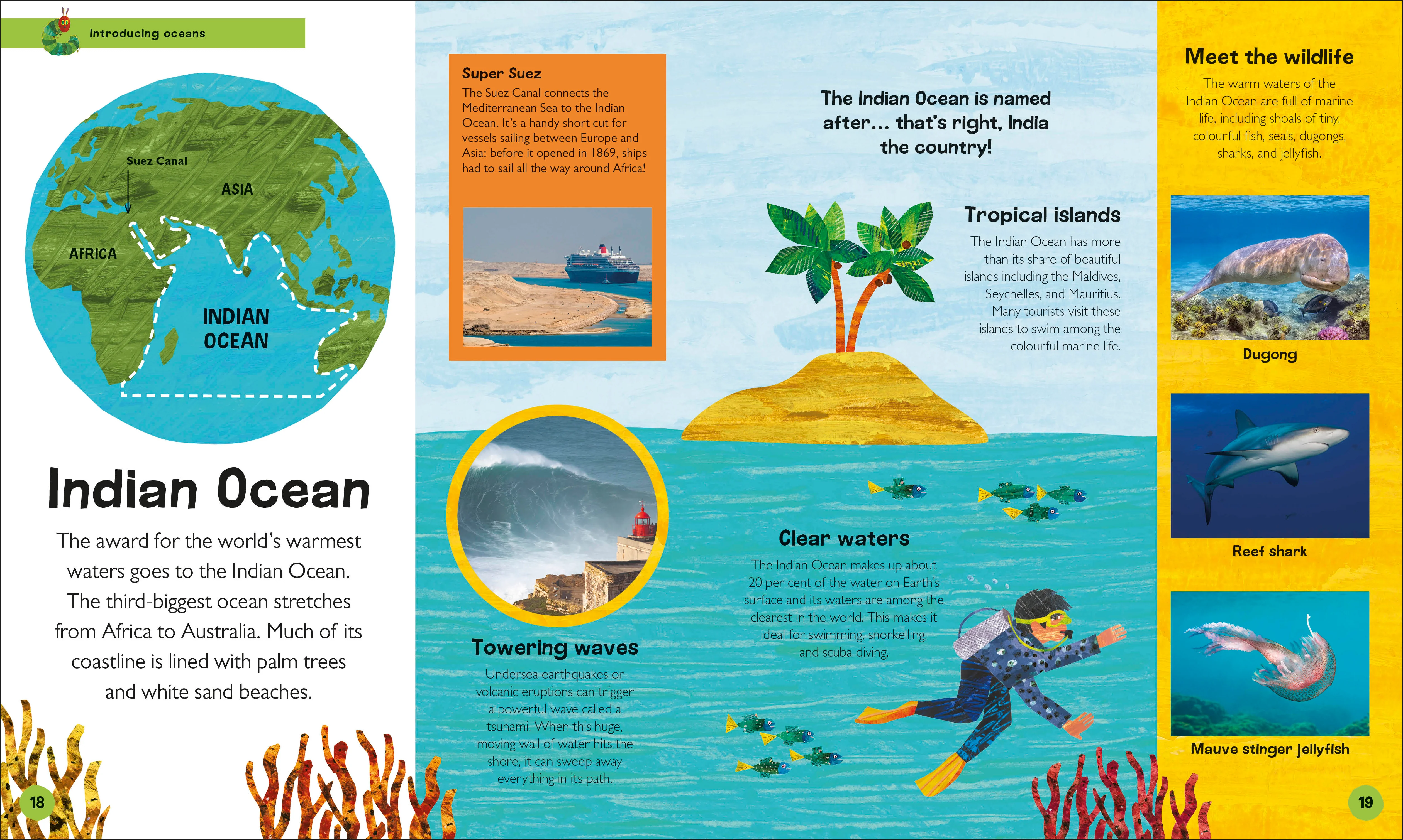 The Very Hungry Caterpillar's Very First Ocean Encyclopedia - Image 2