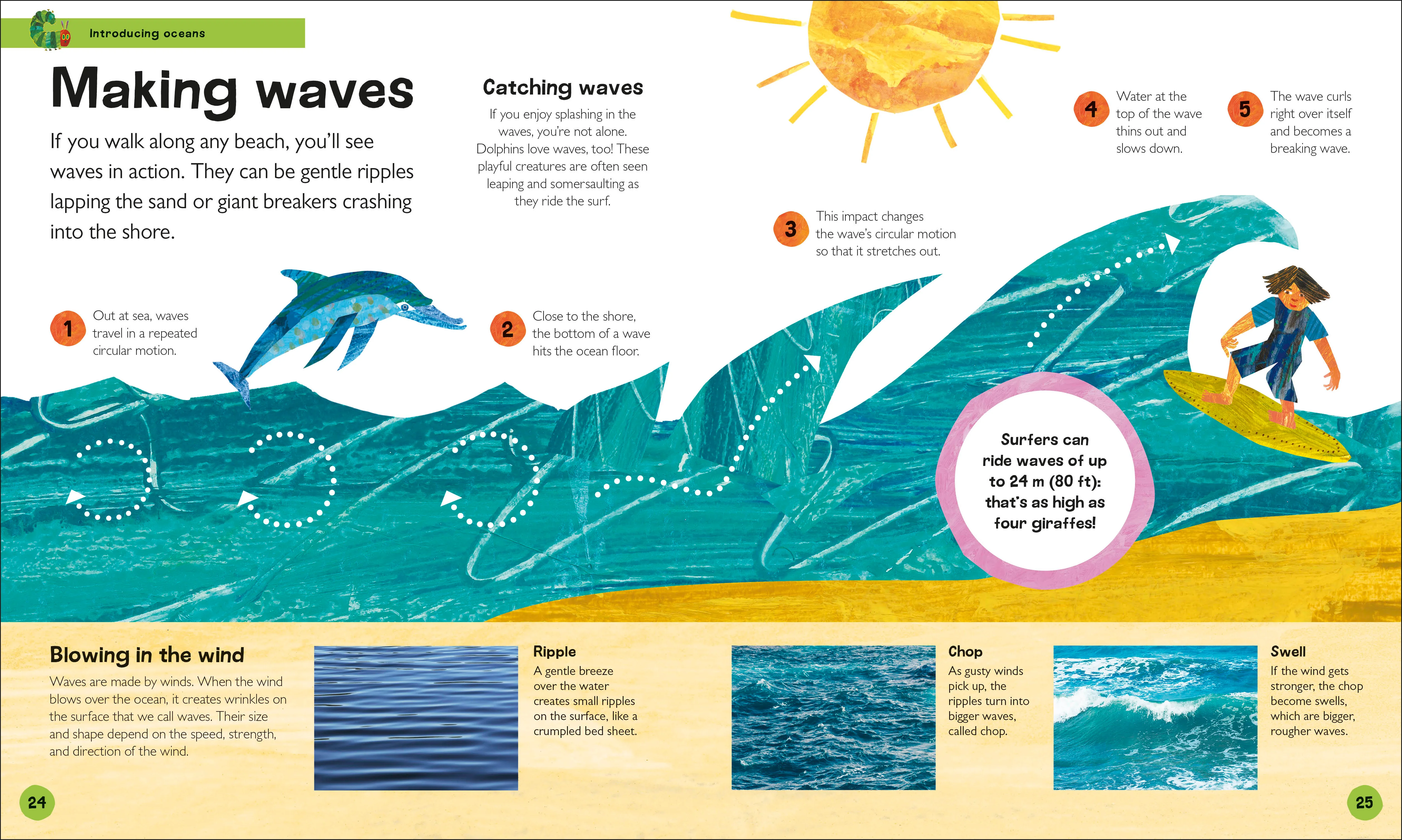 The Very Hungry Caterpillar's Very First Ocean Encyclopedia - Image 3