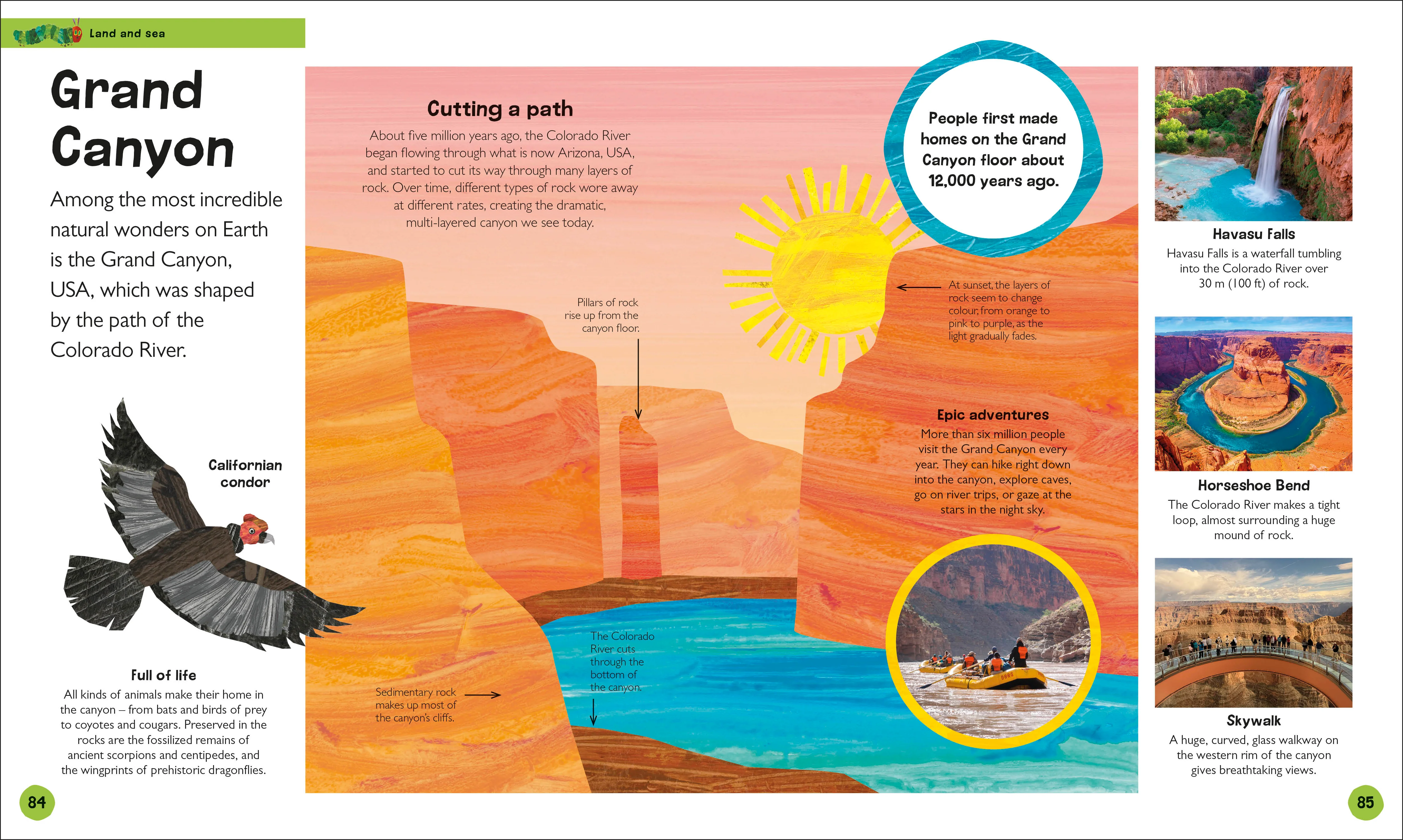 The Very Hungry Caterpillar's Very First Earth Encyclopedia - Image 3
