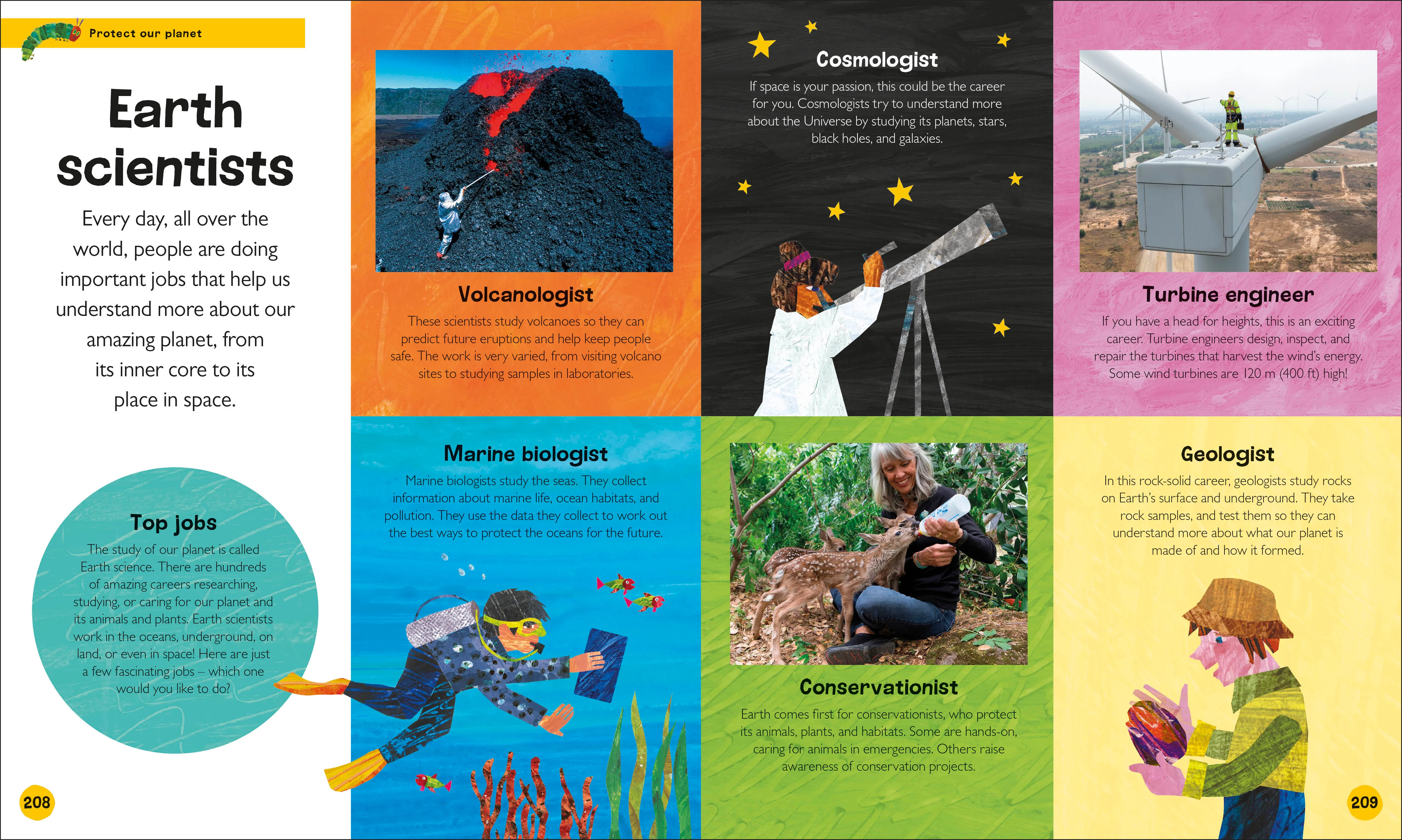 The Very Hungry Caterpillar's Very First Earth Encyclopedia - Image 7