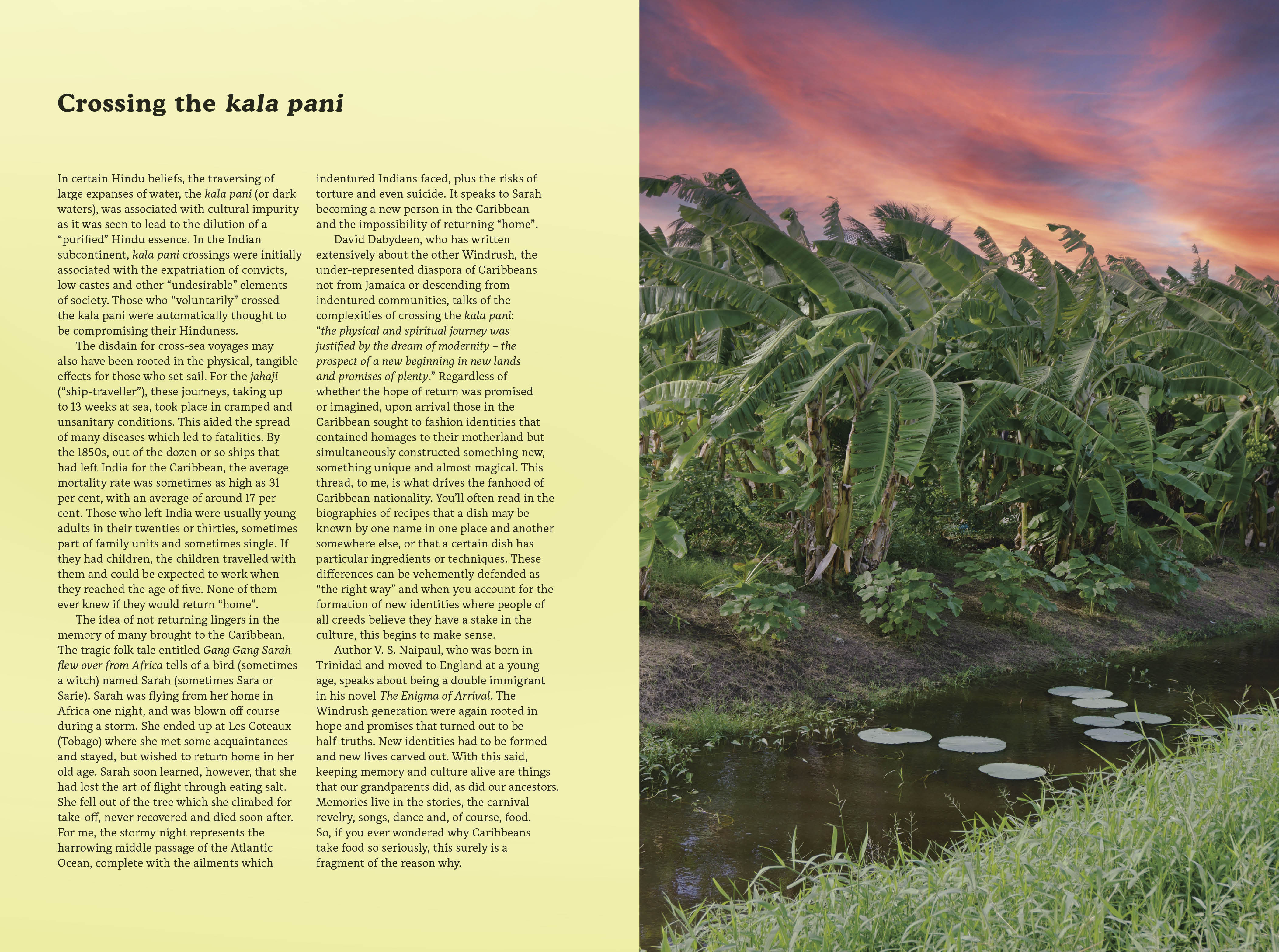 East Winds - Image 5