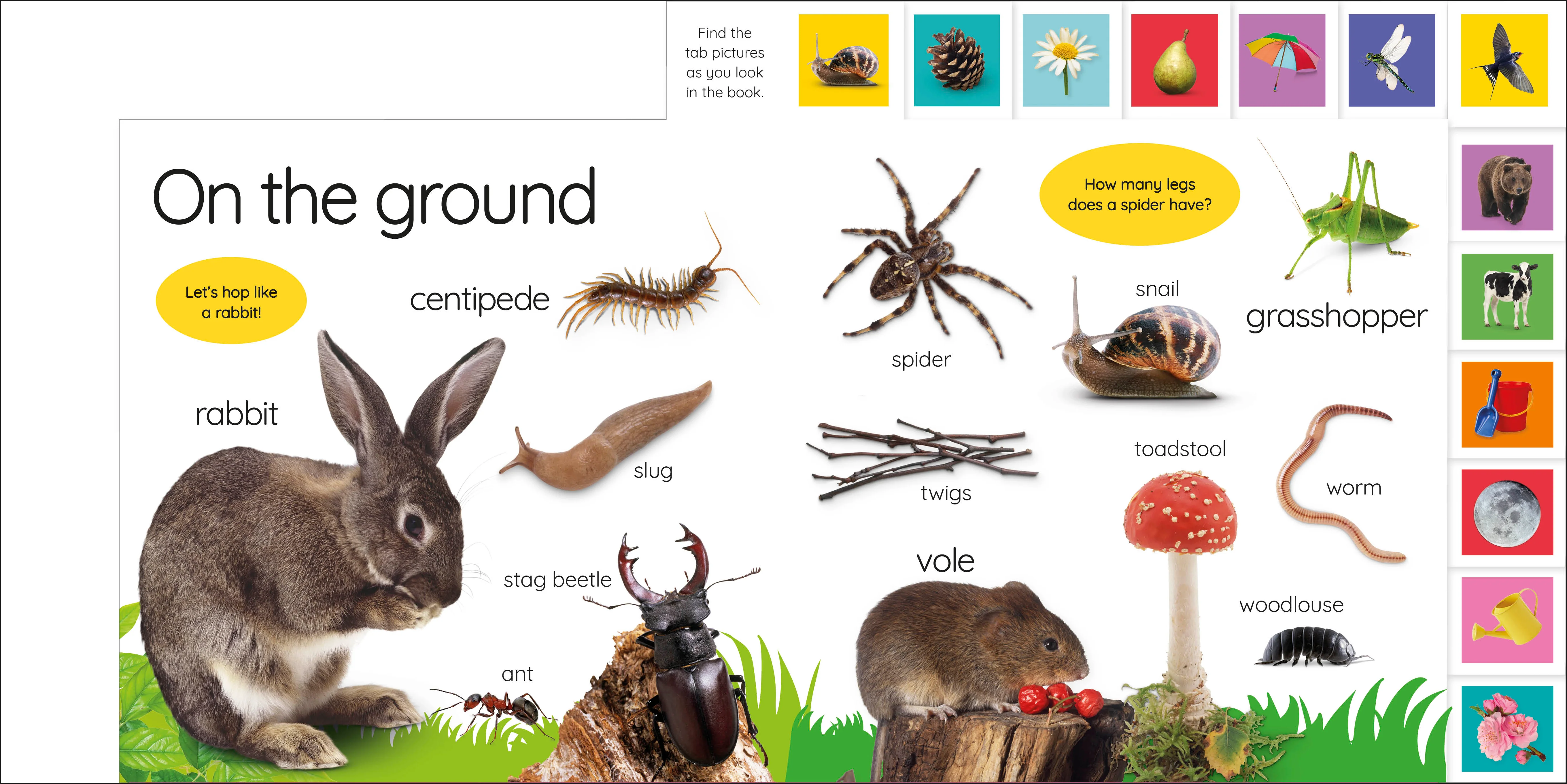 My First Nature: Let's Go Exploring! - Image 2