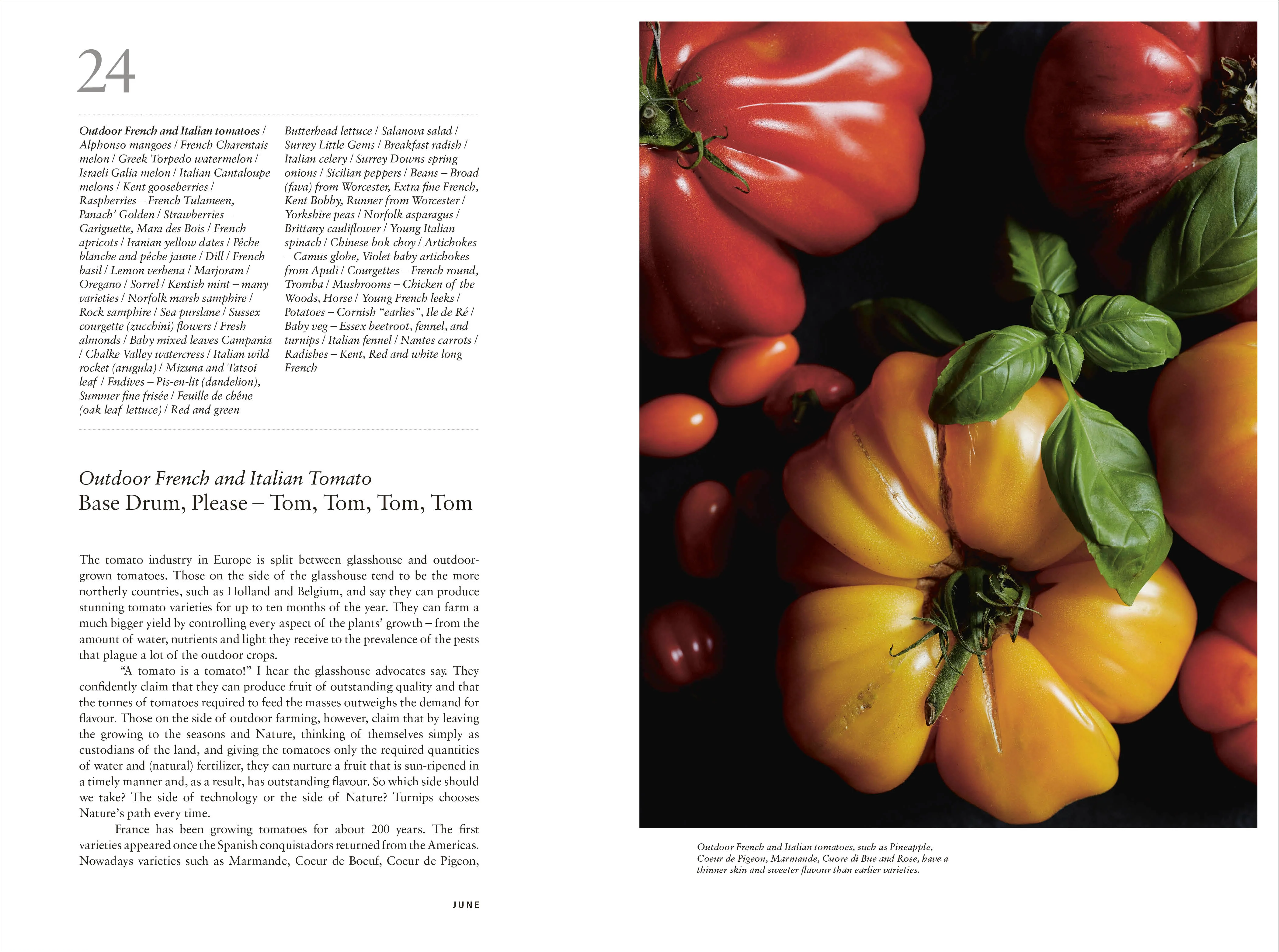 Turnips' Edible Almanac - Image 6