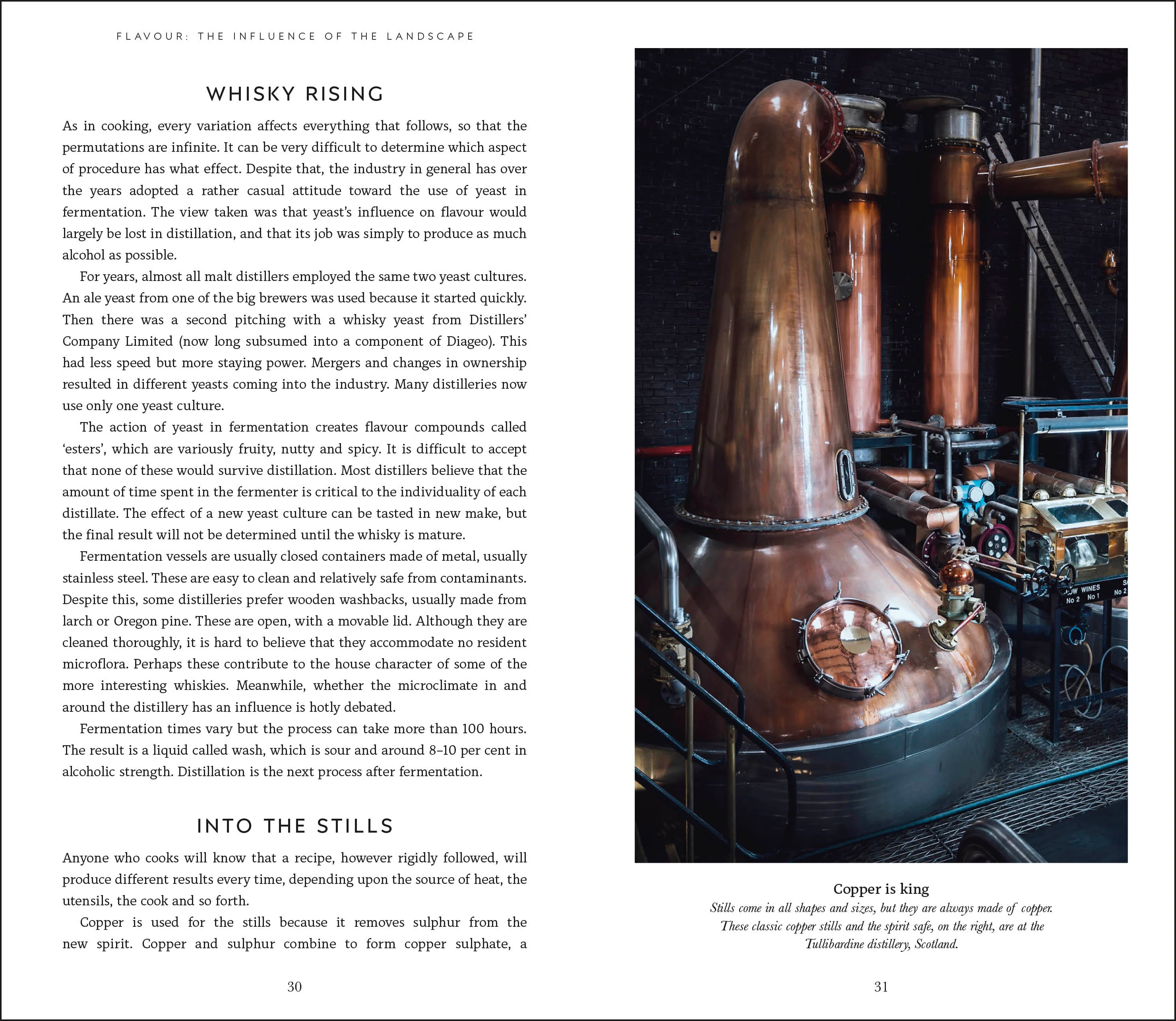 Malt Whisky Companion - Image 4