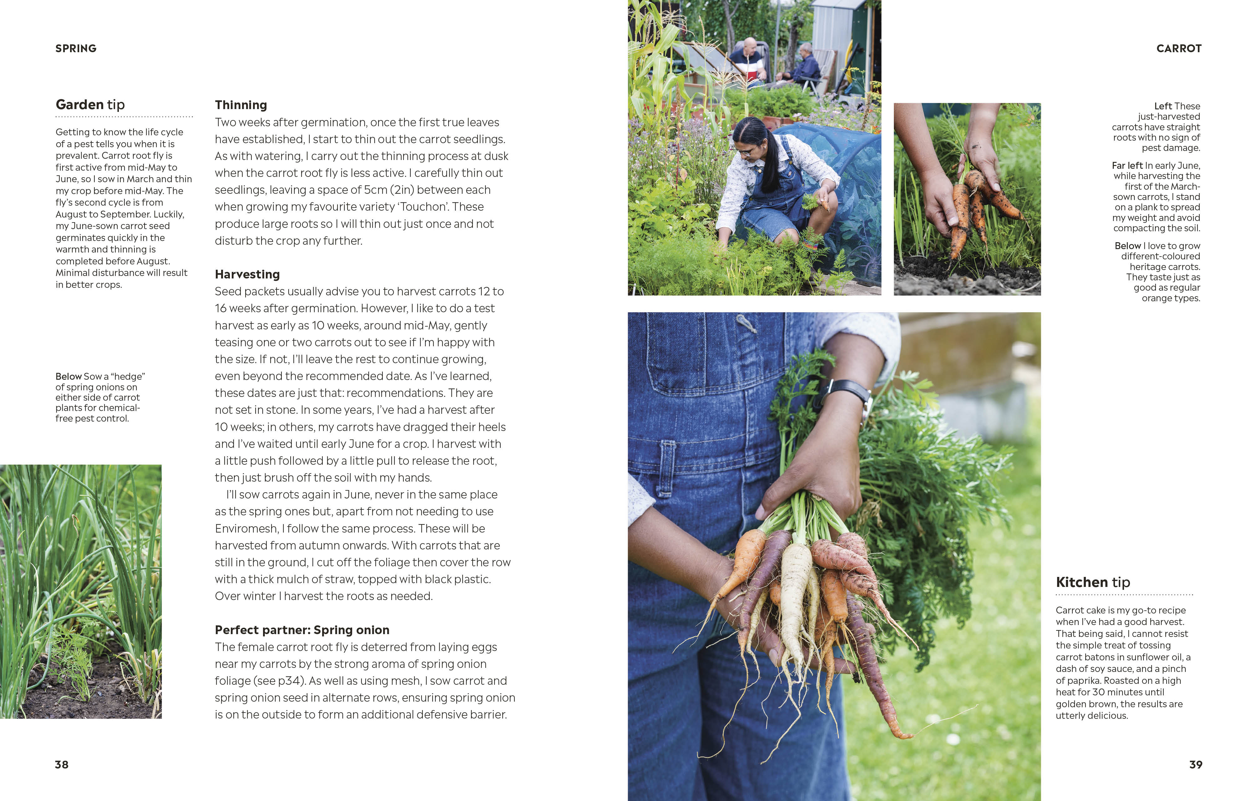 Rekha's Kitchen Garden - Image 5