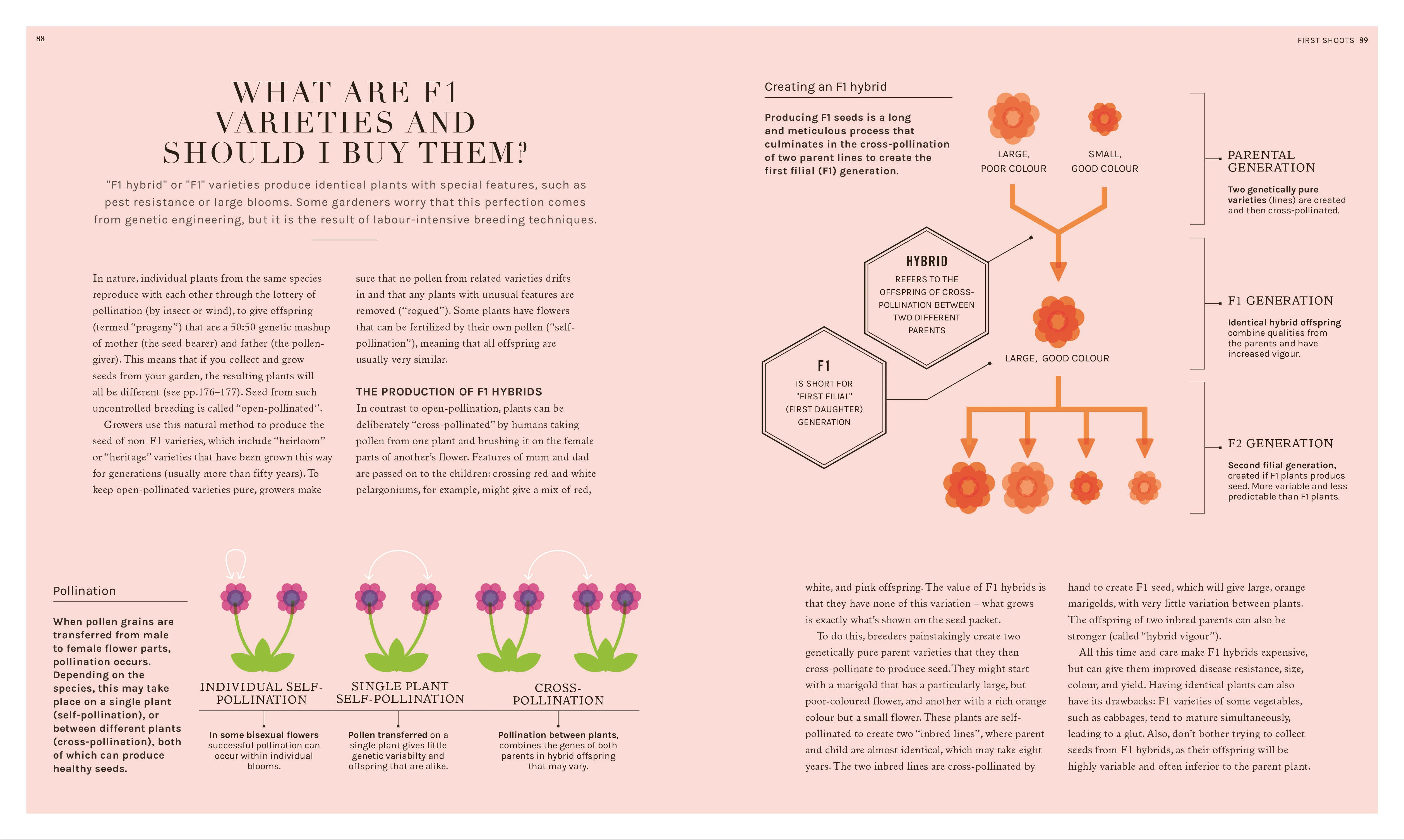 The Science of Gardening - Image 6