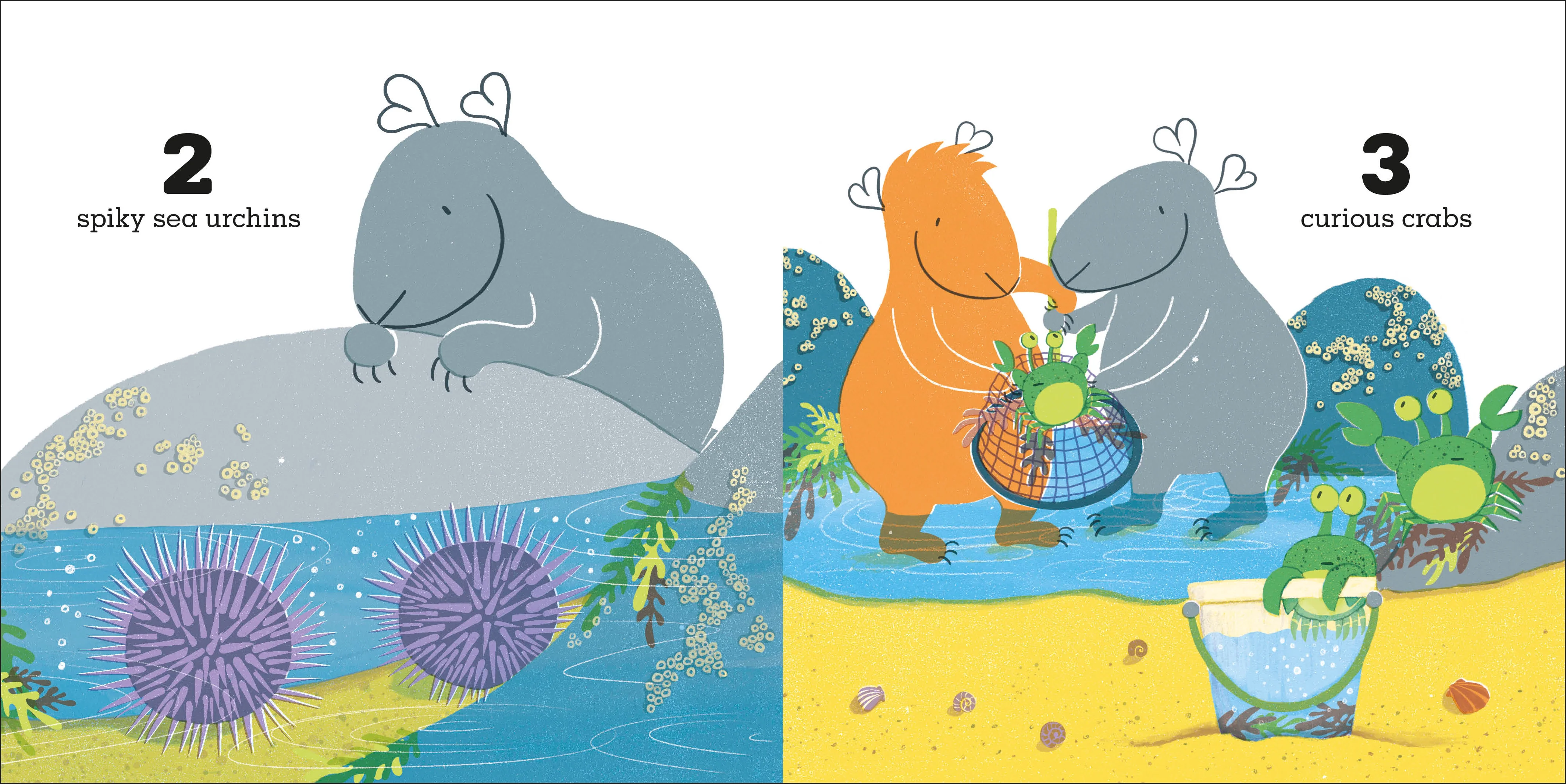 Guinea Pigs Go to the Beach - Image 2