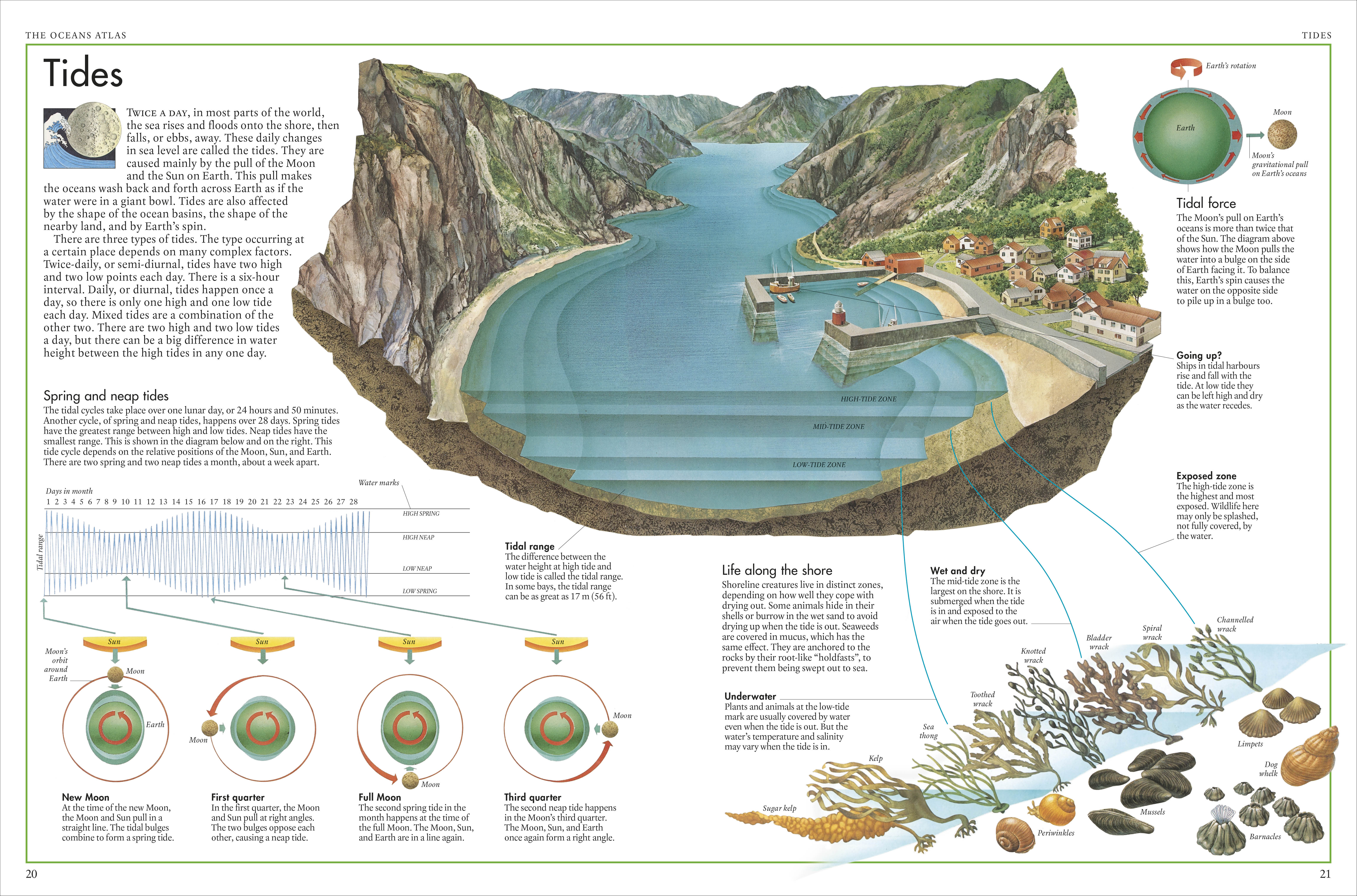 The Oceans Atlas - Image 3