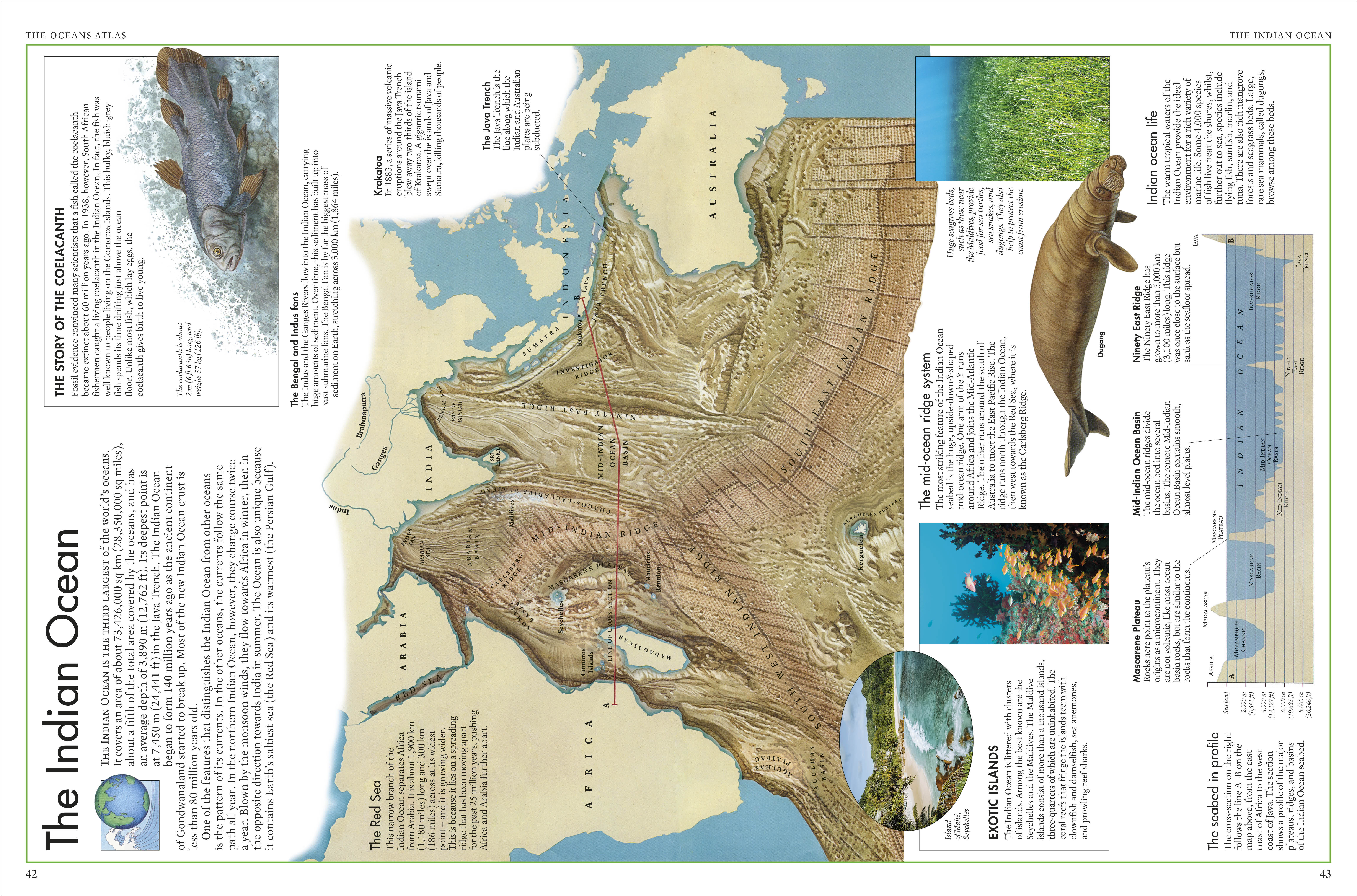 The Oceans Atlas - Image 4