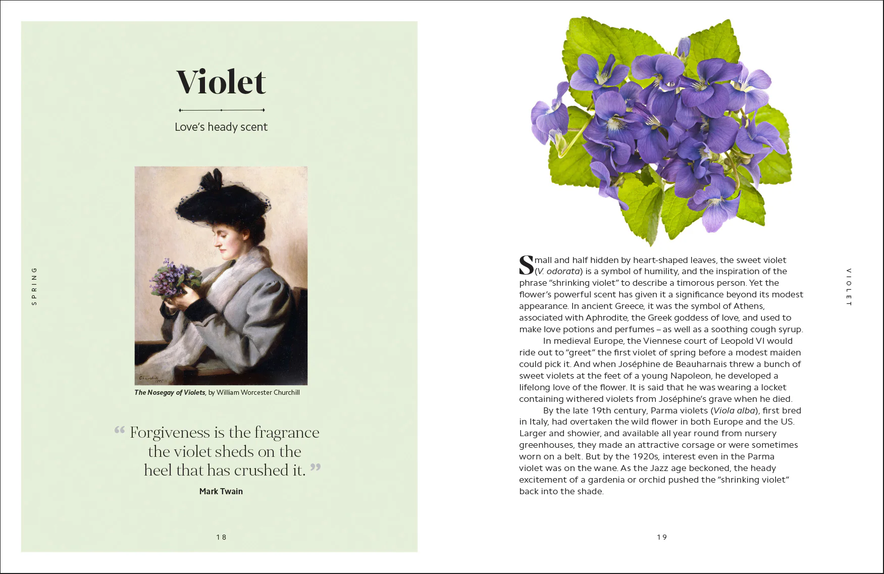 The Secret Language of Flowers - Image 2