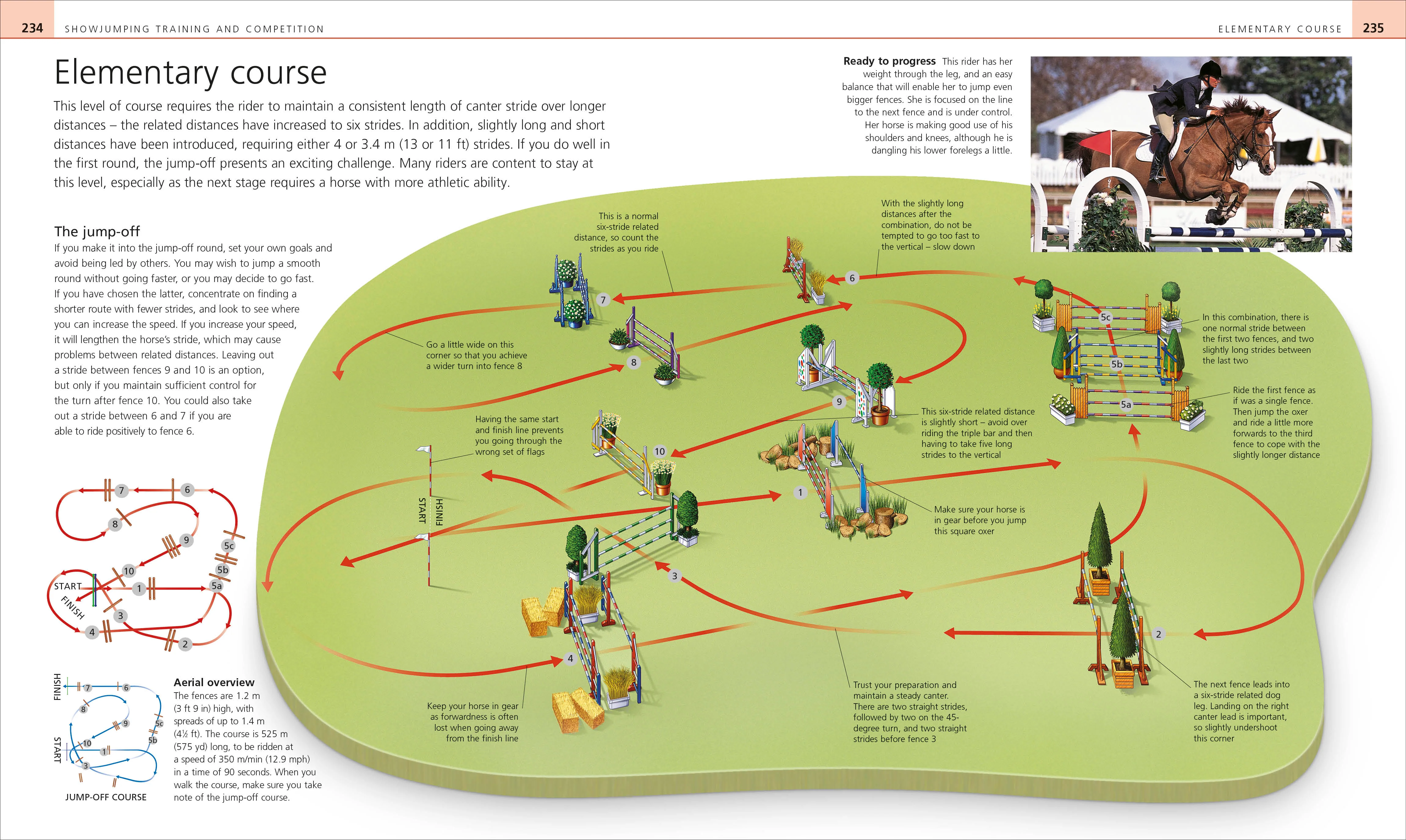 Complete Horse Riding Manual - Image 2