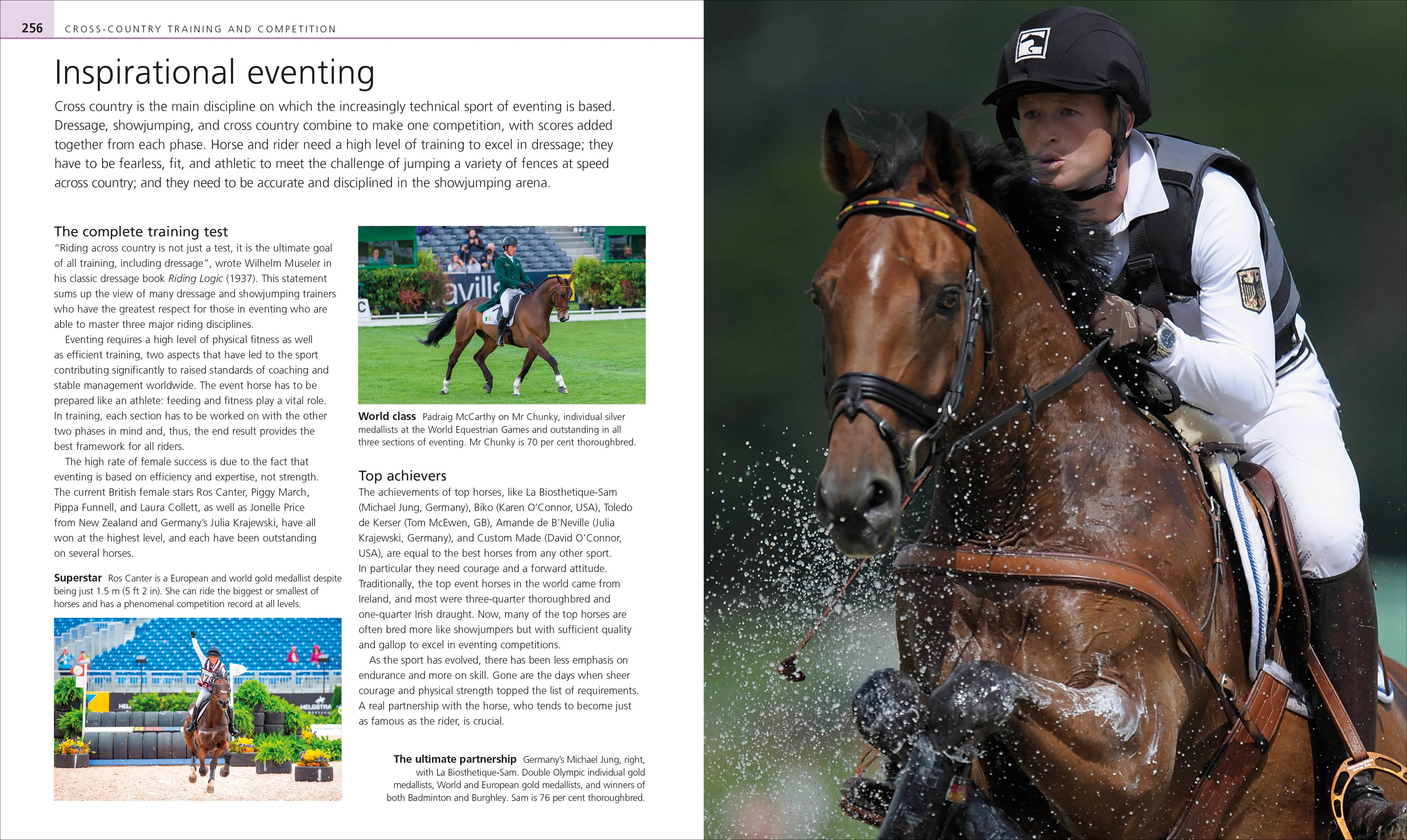 Complete Horse Riding Manual - Image 4