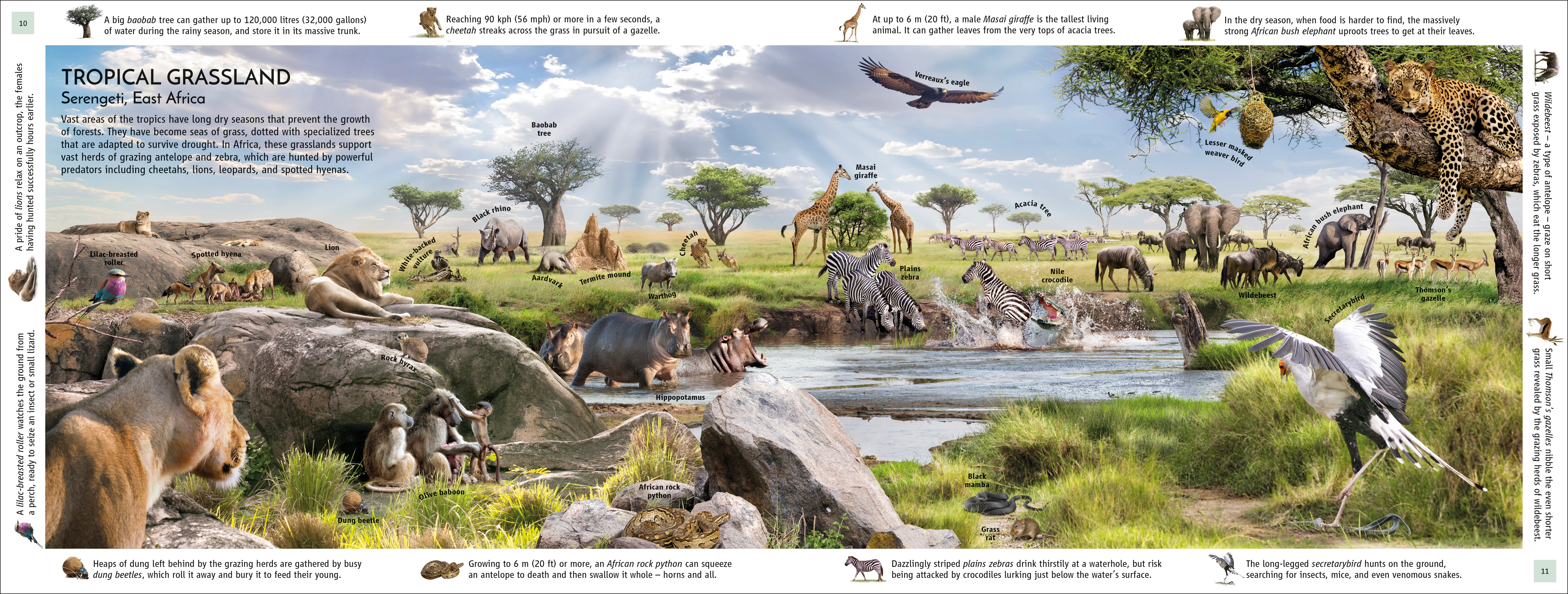 Habitats of the World - Image 2