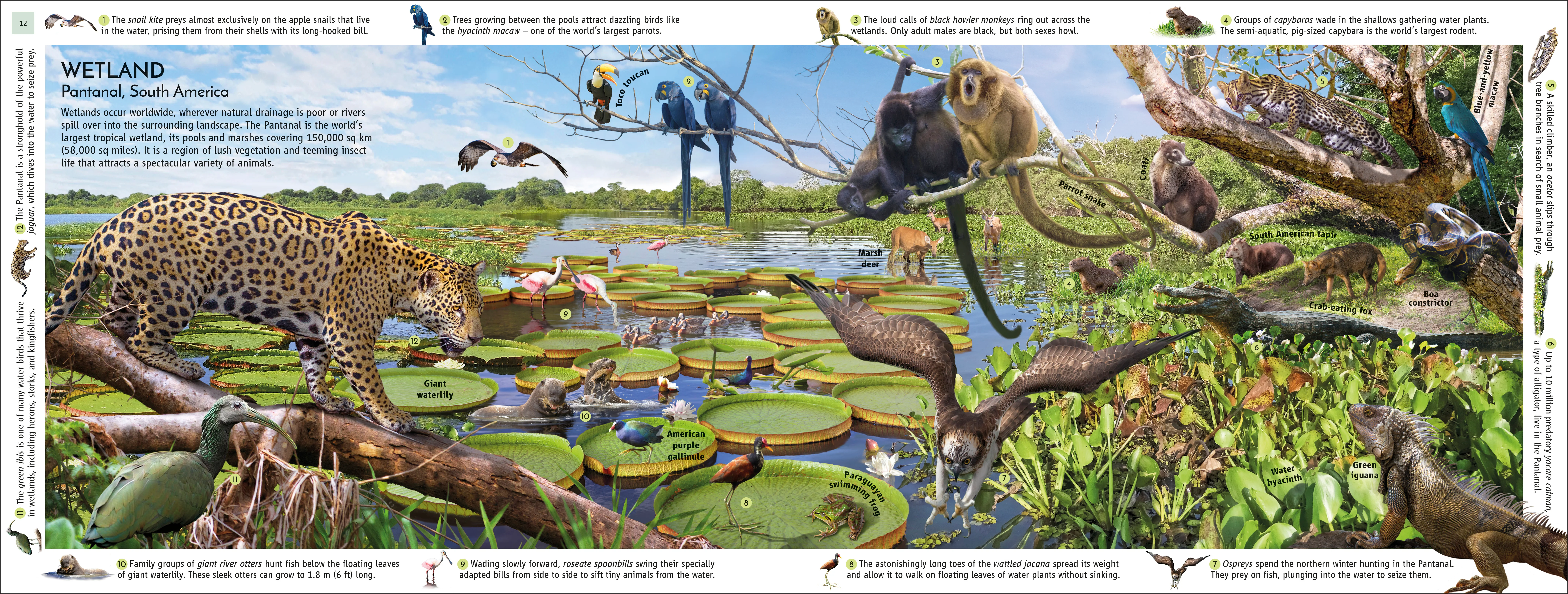 Habitats of the World - Image 3