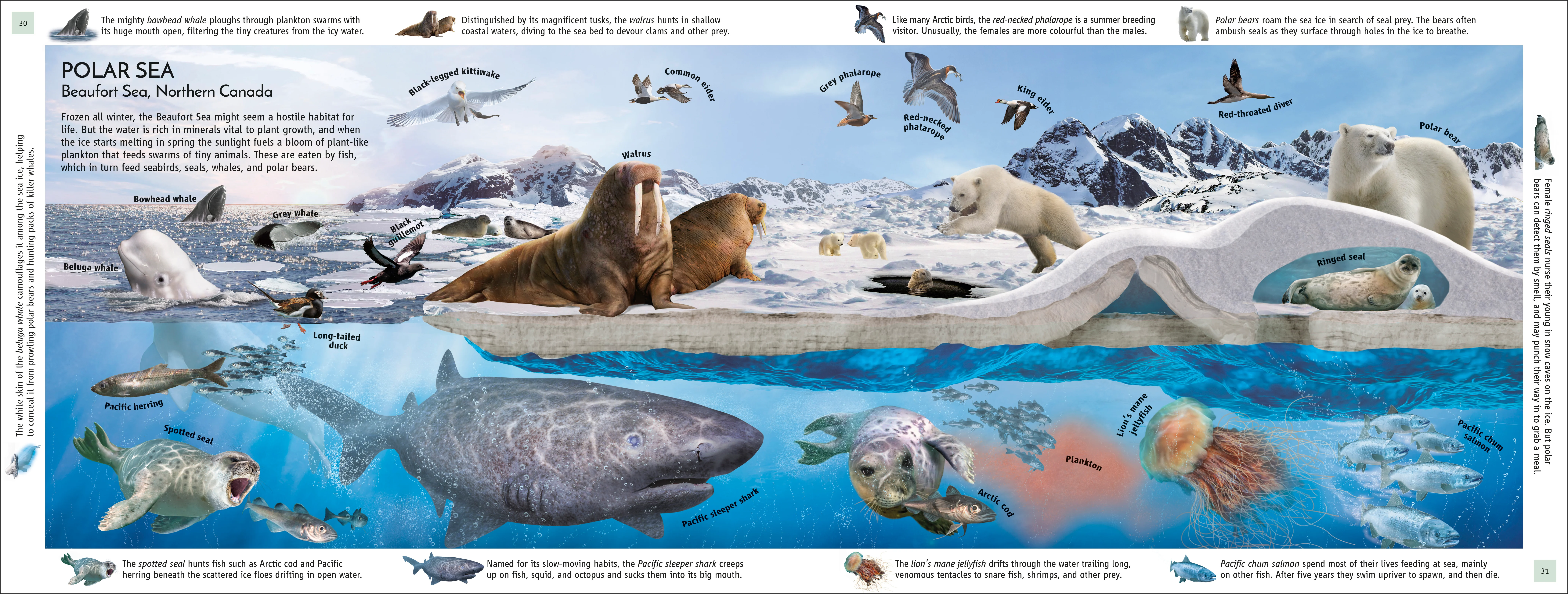 Habitats of the World - Image 4