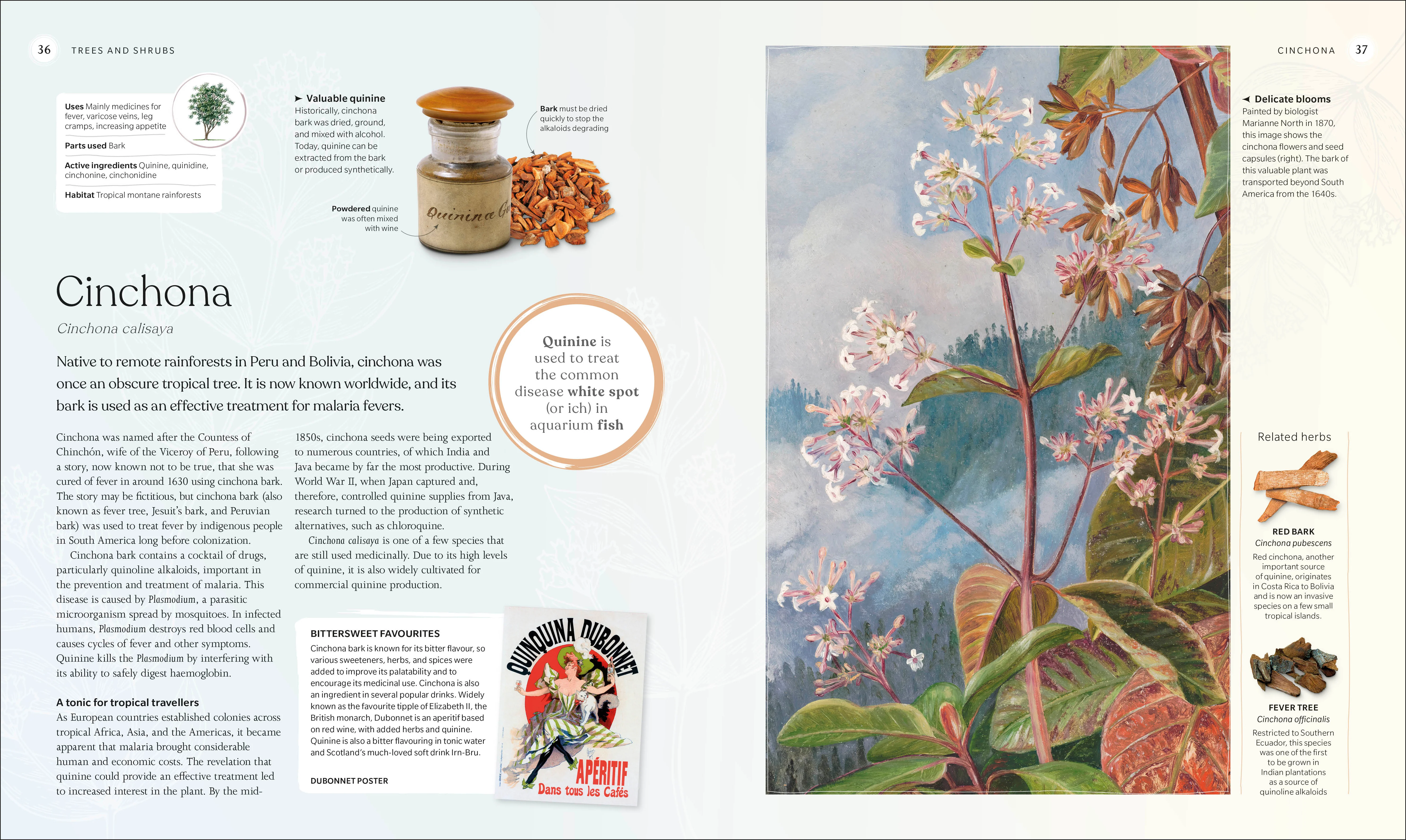 The Herb Book - Image 2