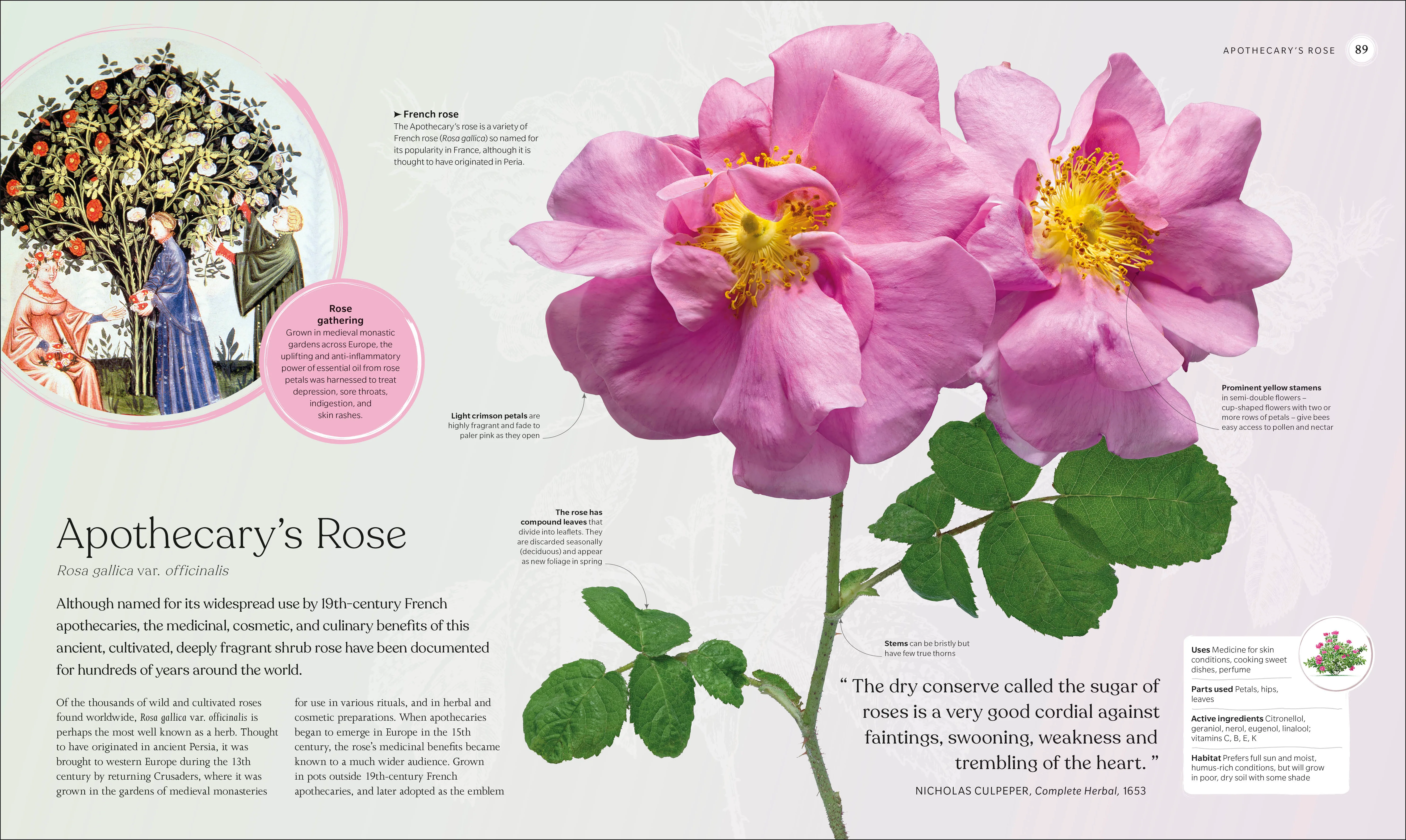 The Herb Book - Image 5