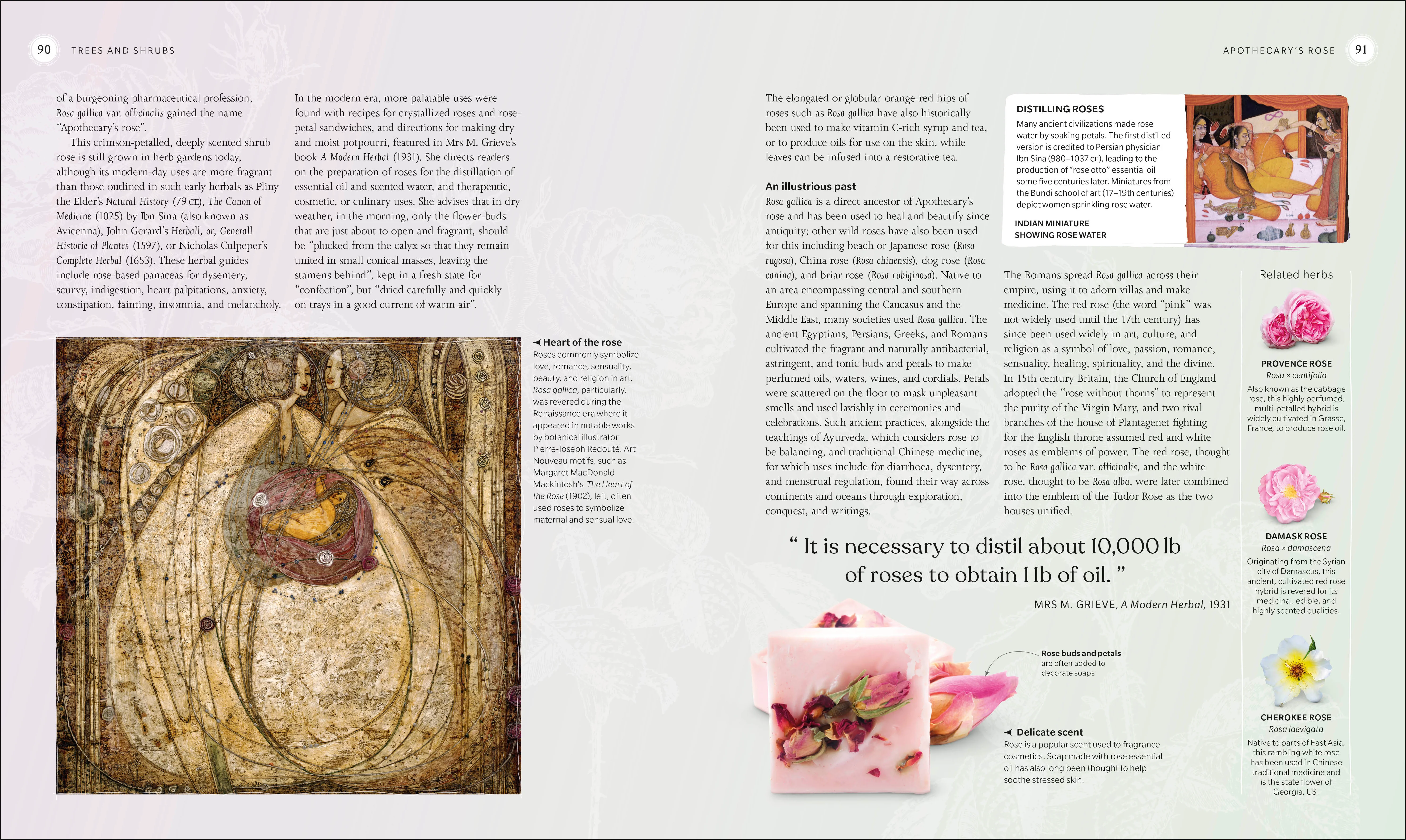 The Herb Book - Image 6