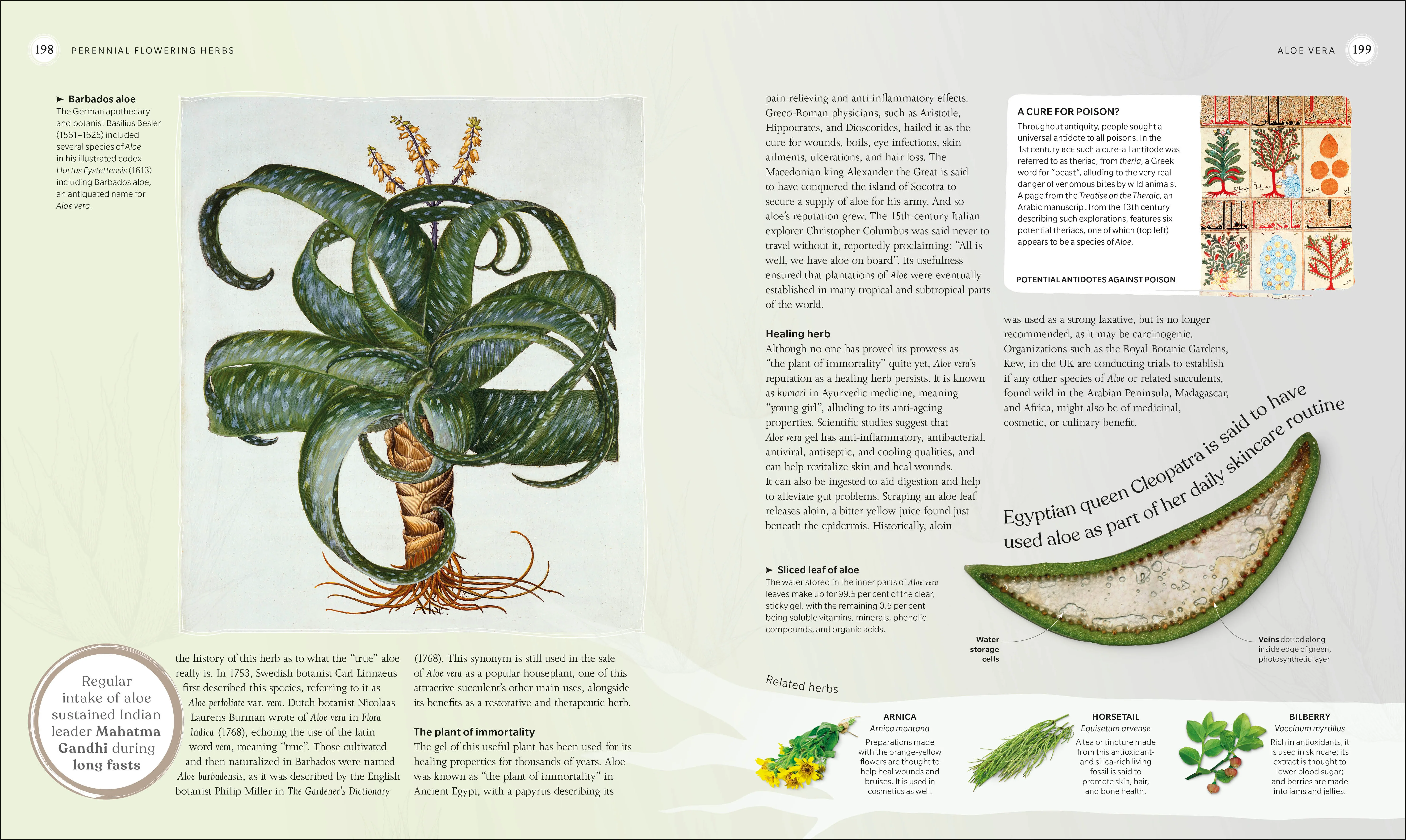 The Herb Book - Image 8
