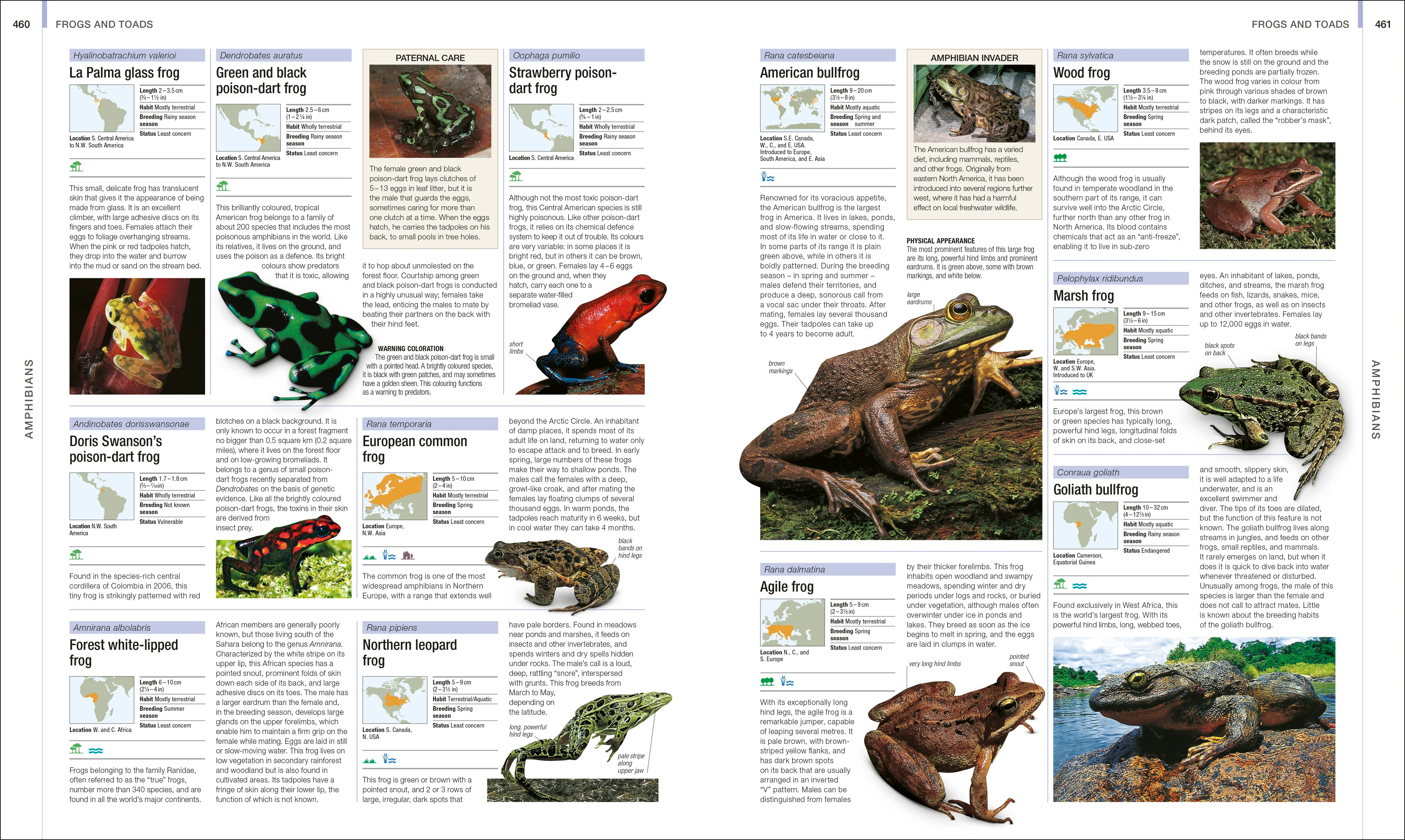 Animal - Image 7