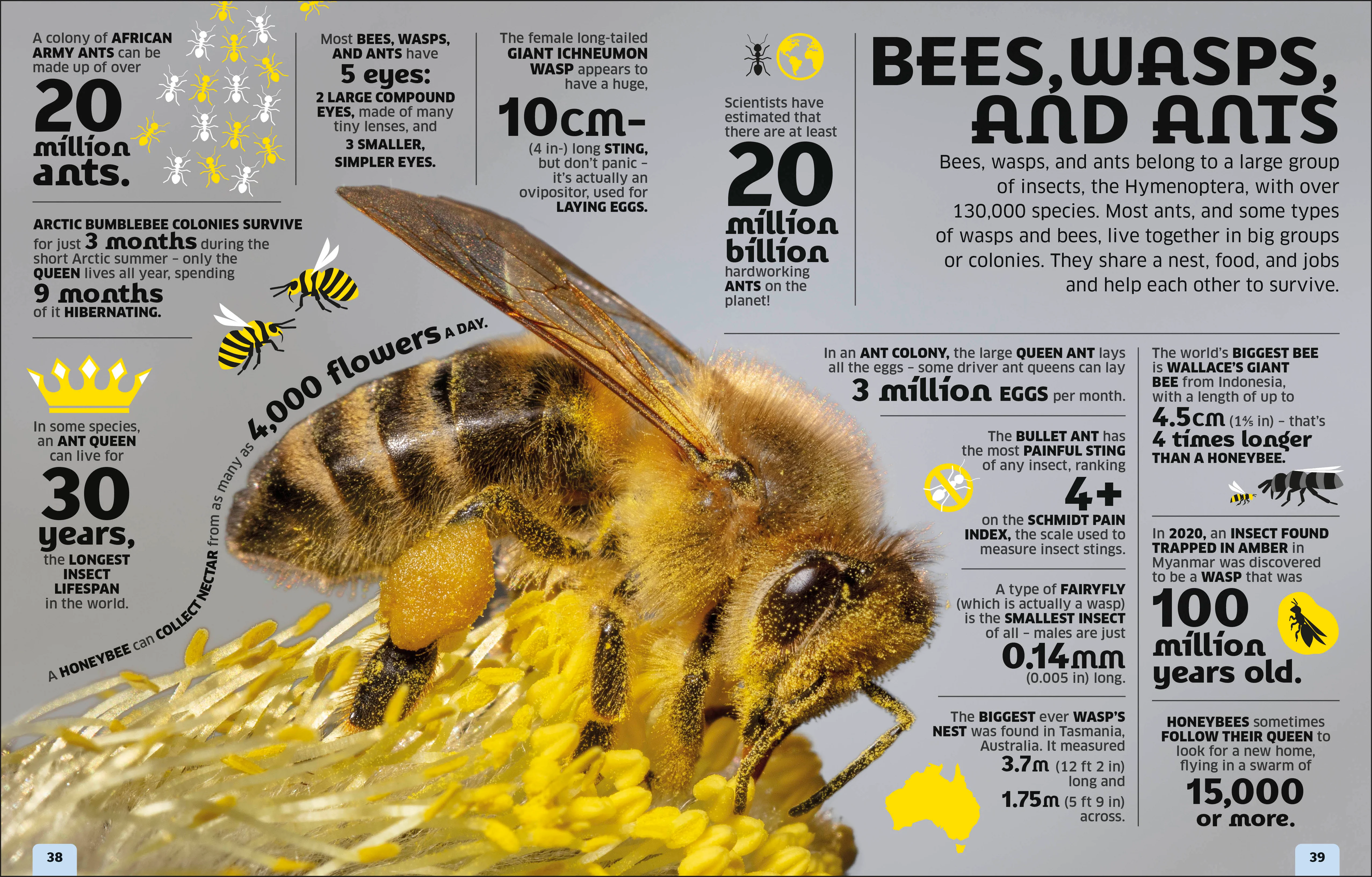 Our World in Numbers Animals - Image 2