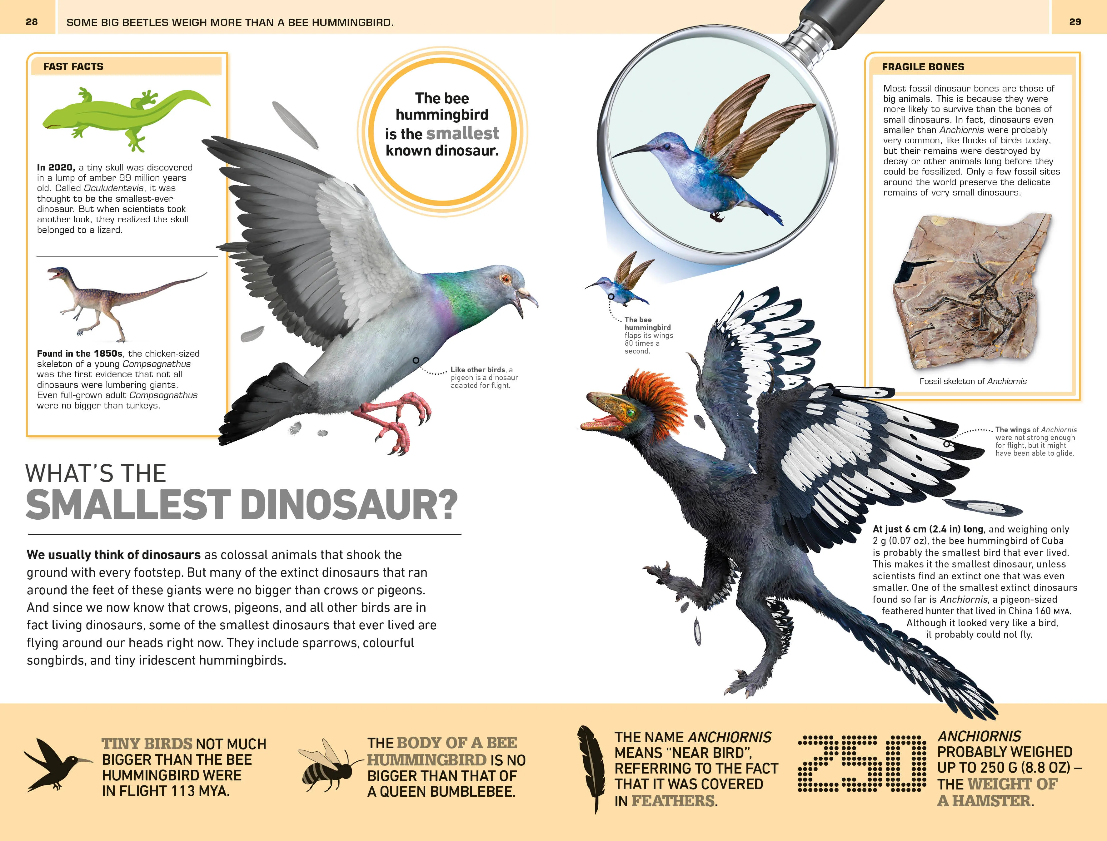 1,000 Amazing Dinosaur Facts - Image 5