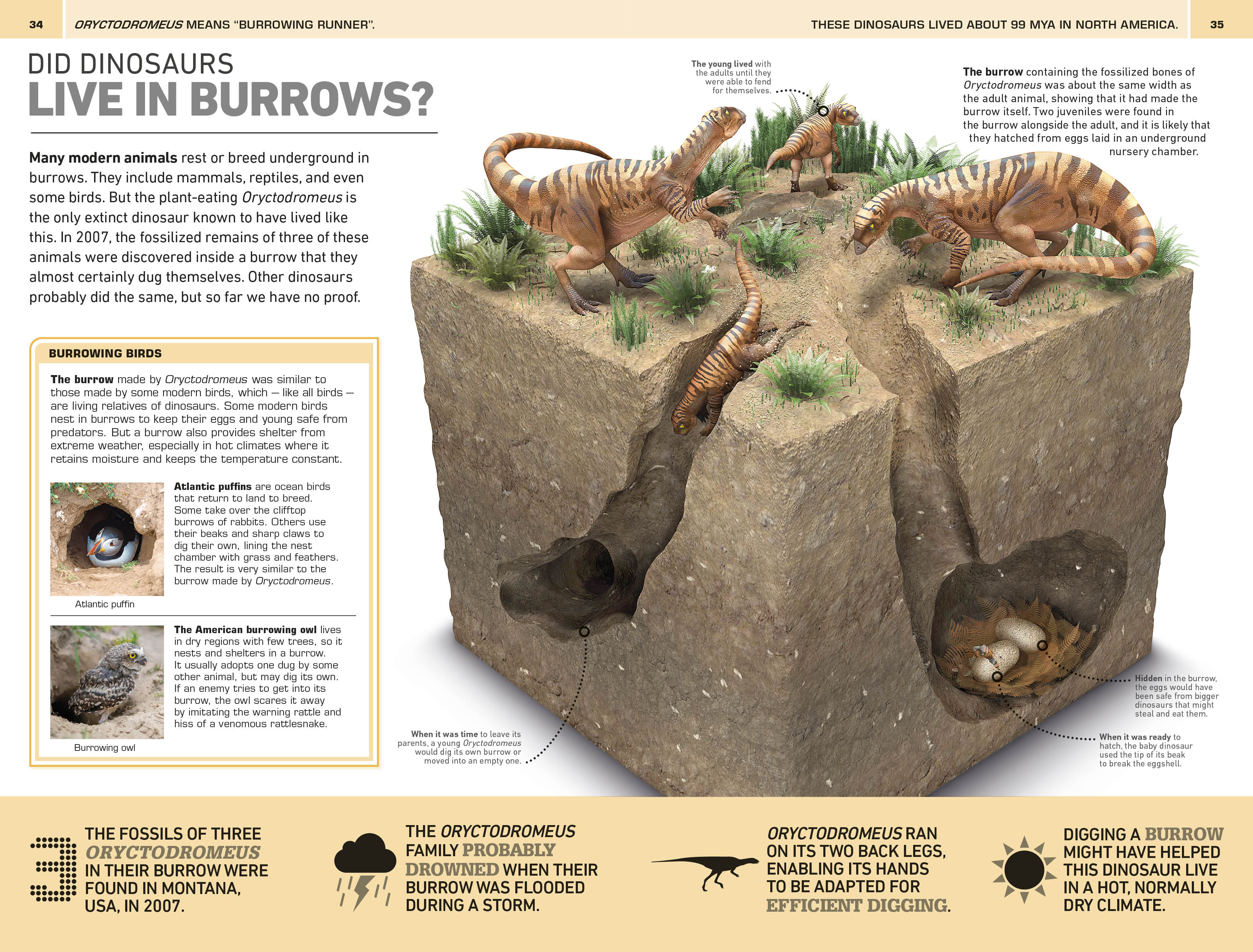 1,000 Amazing Dinosaur Facts - Image 6