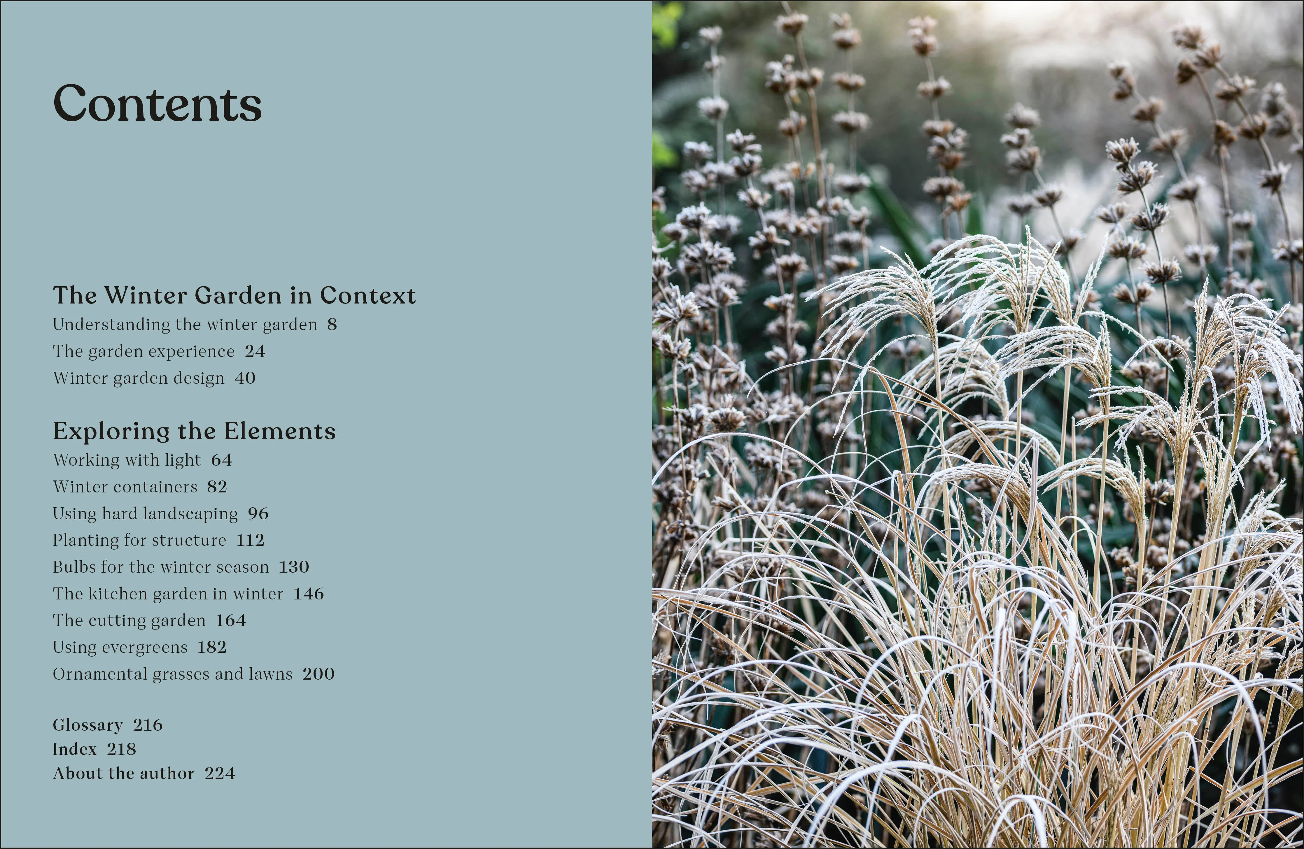 RHS The Winter Garden - Image 2
