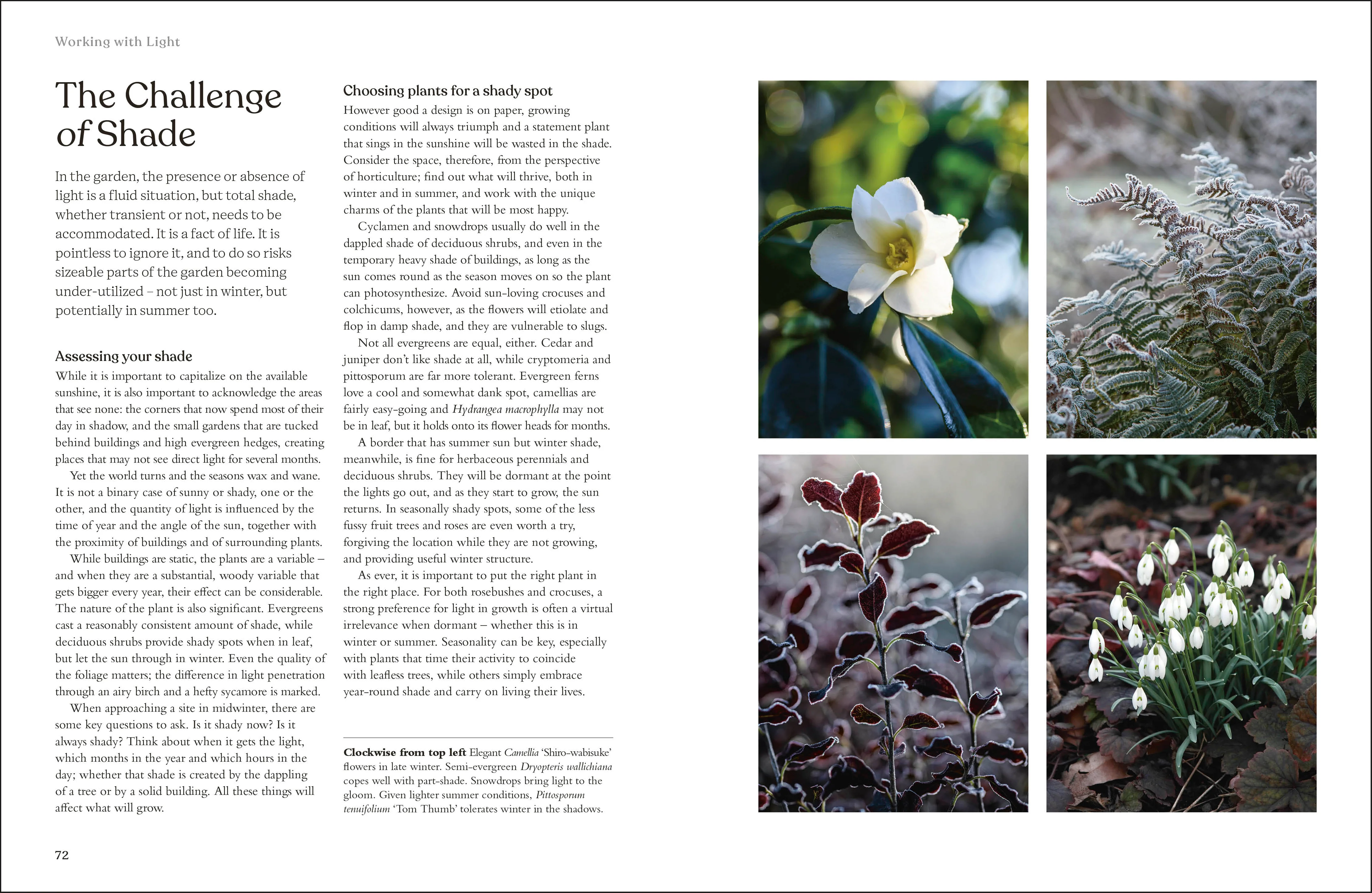 RHS The Winter Garden - Image 5