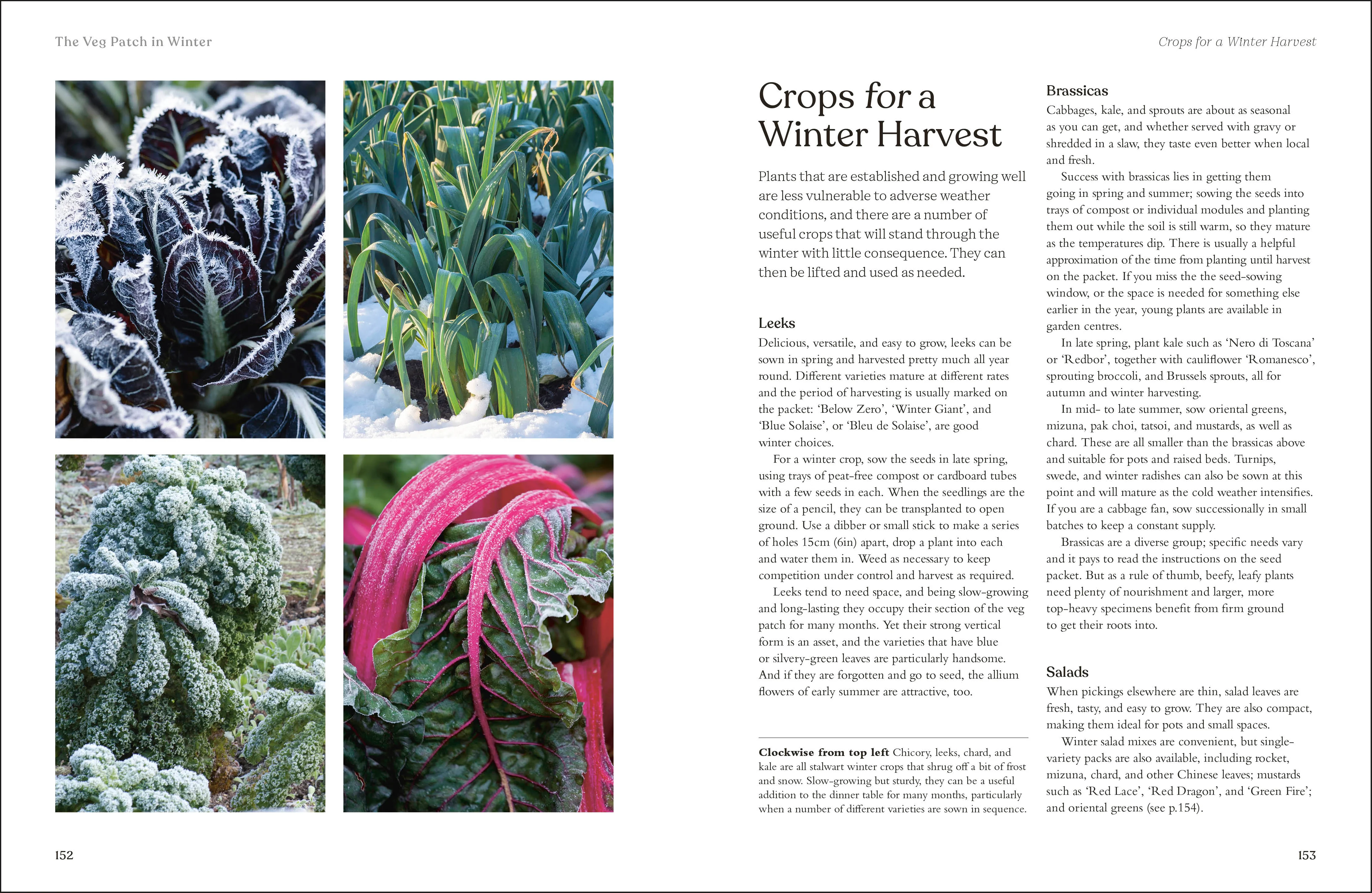 RHS The Winter Garden - Image 7