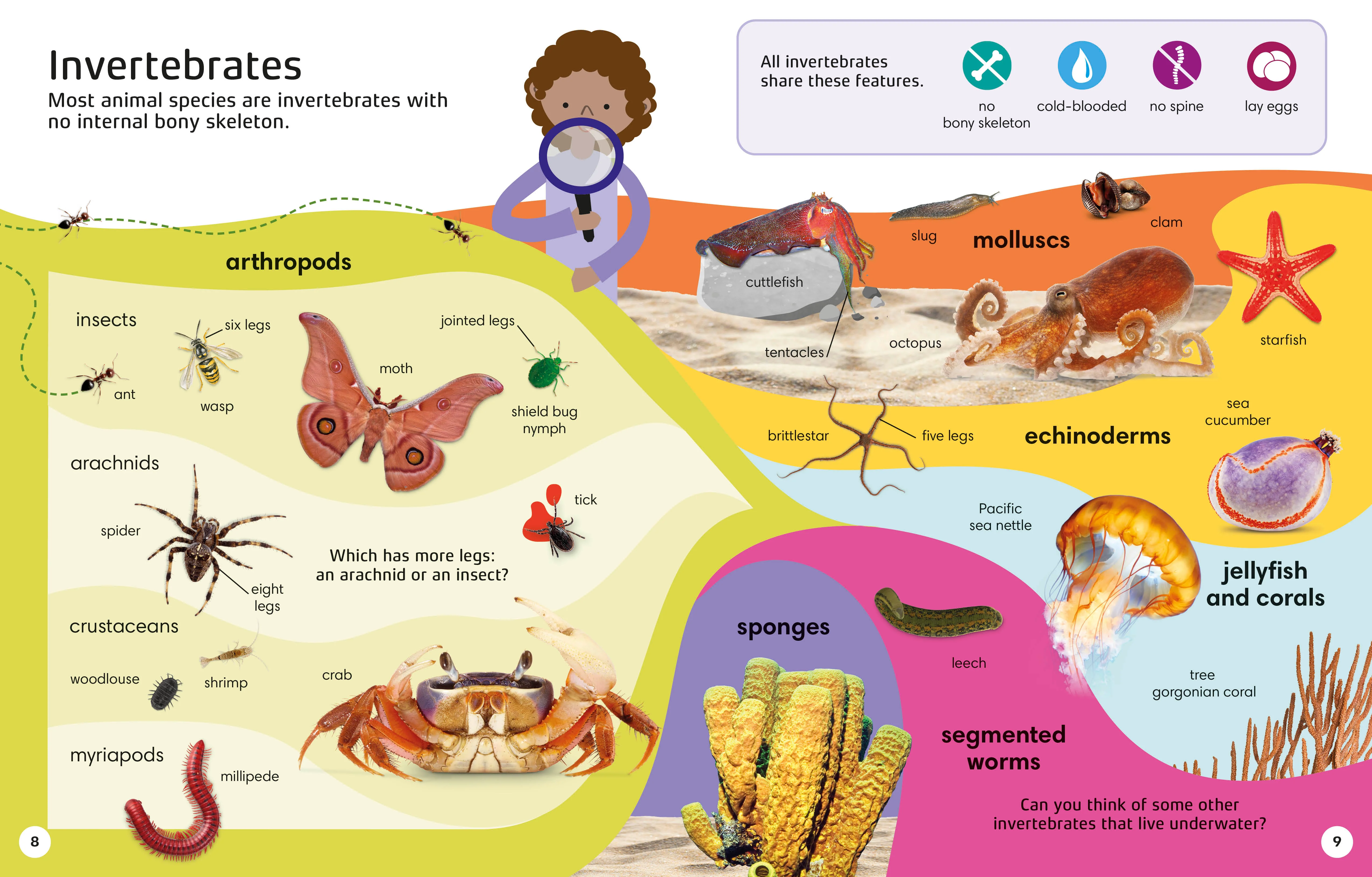 1000 Animal Words - Image 2