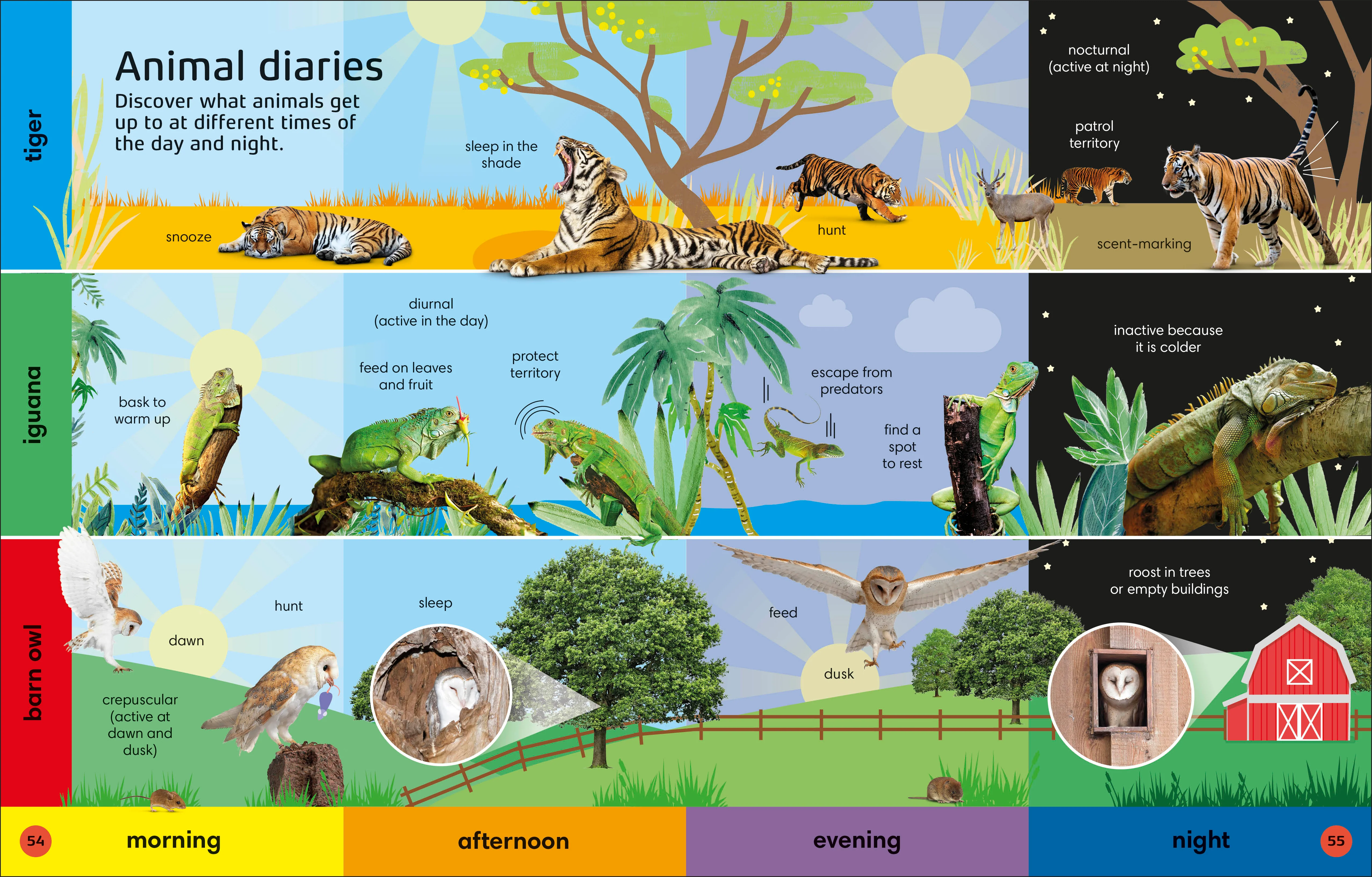 1000 Animal Words - Image 4