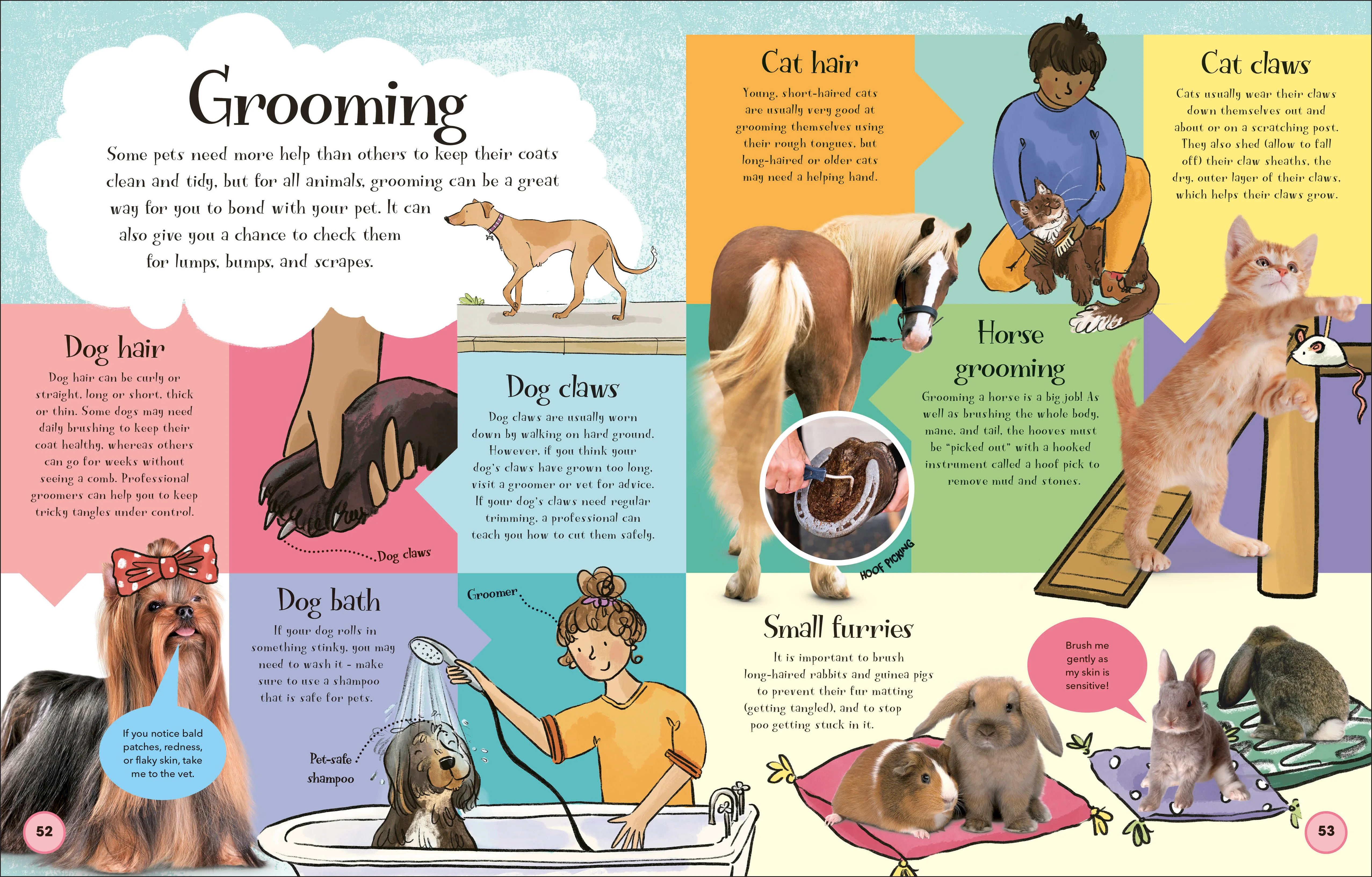 Pets and Their People - Image 5