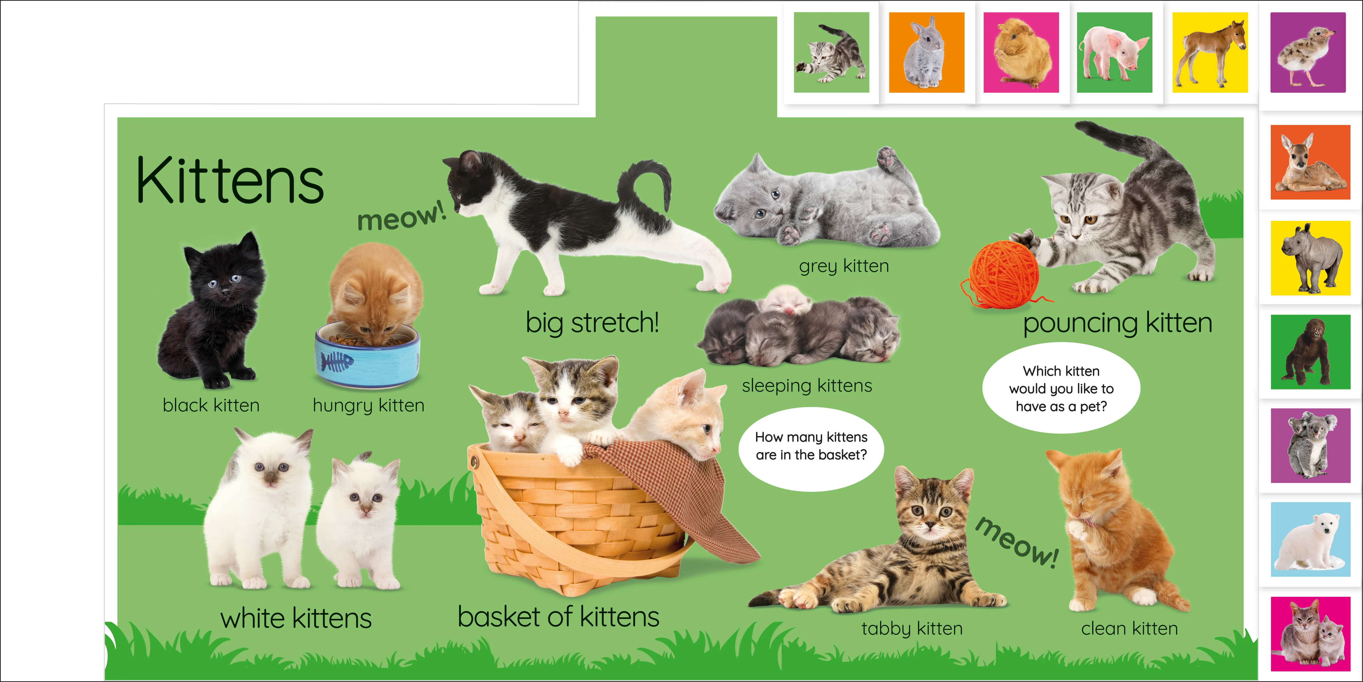 My First Baby Animals: Let's Find Our Favourites! - Image 2