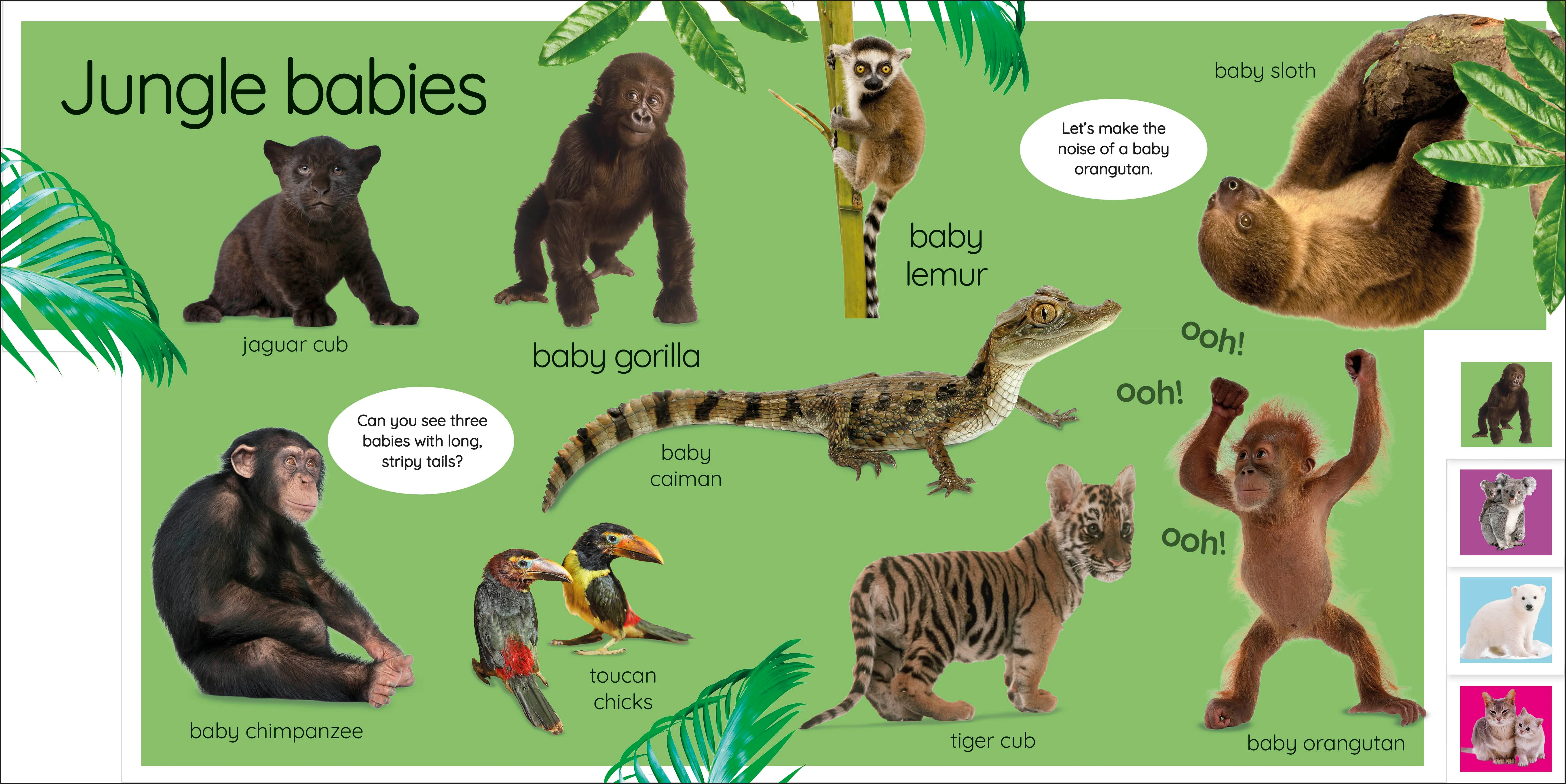 My First Baby Animals: Let's Find Our Favourites! - Image 4