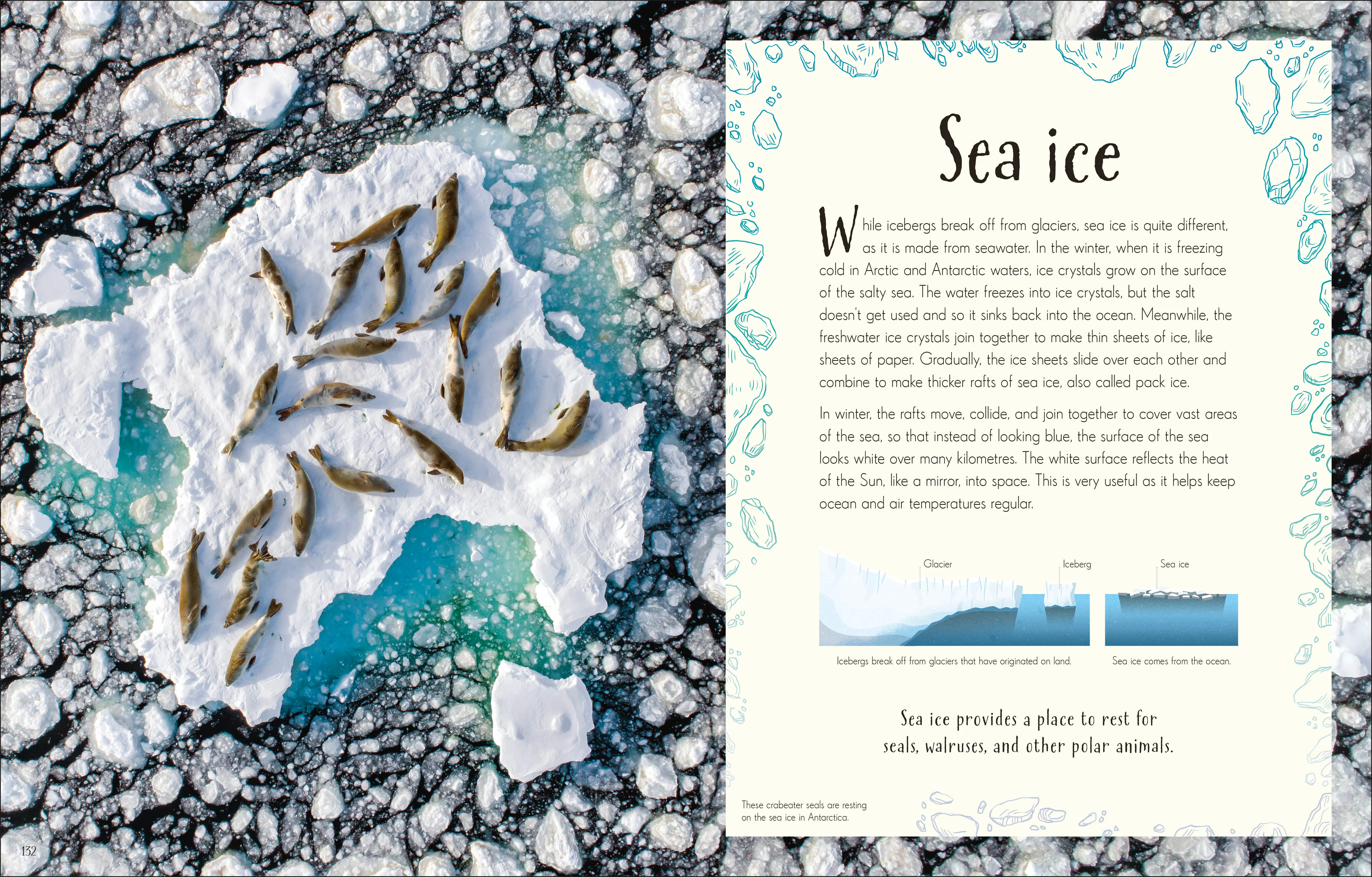 An Anthology of Our Extraordinary Earth - Image 6