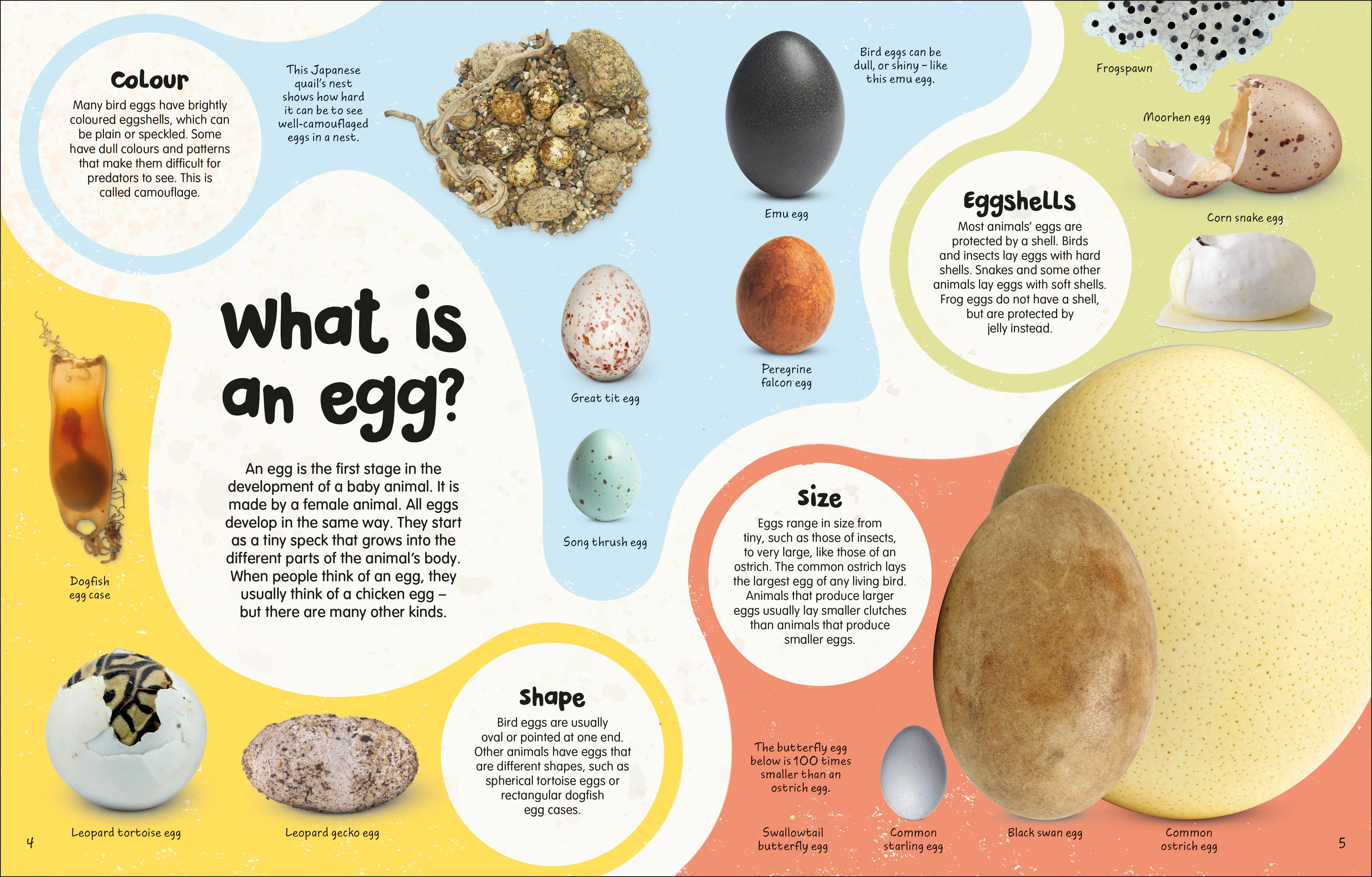 The Egg Book - Image 2