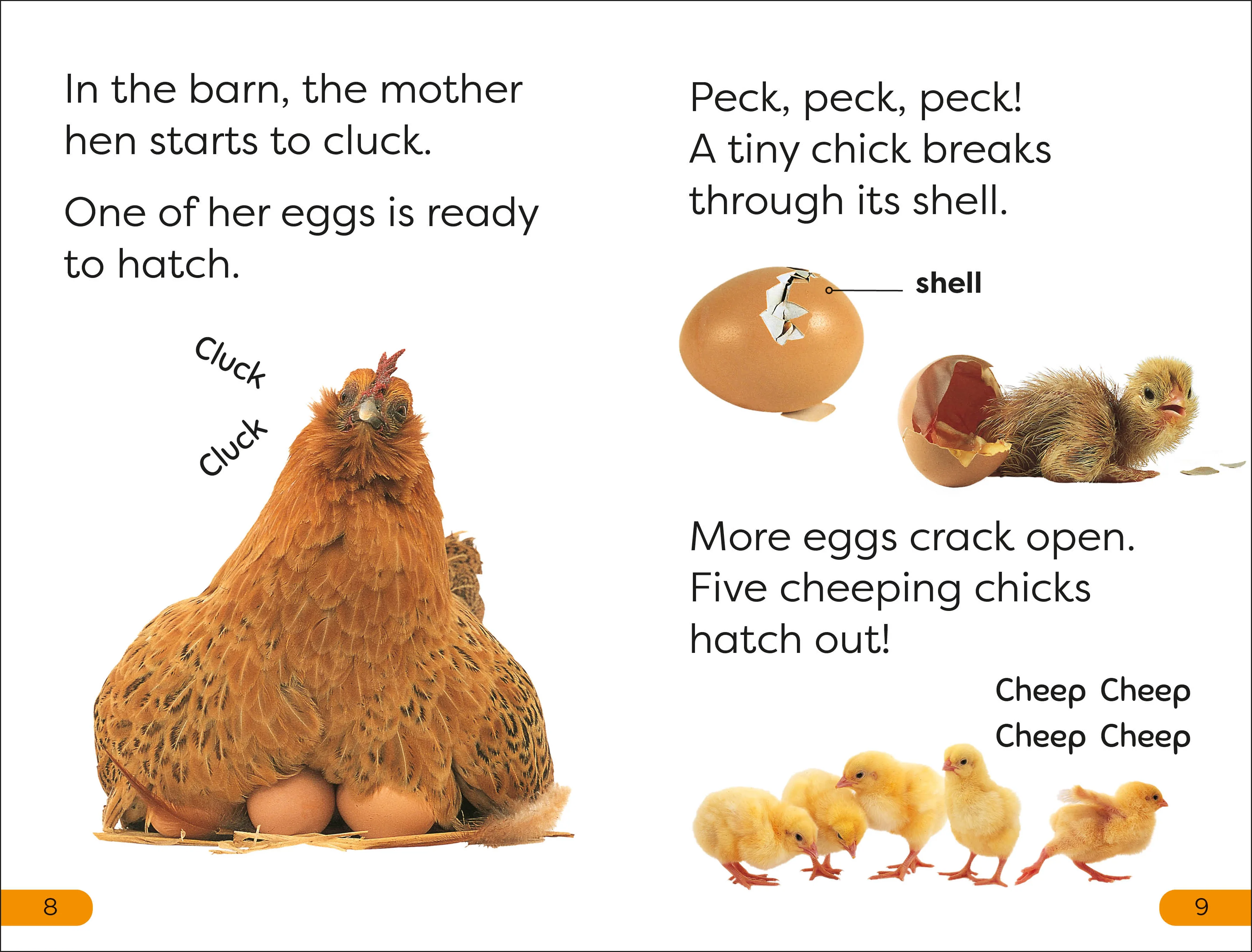 DK Super Readers Level 1 A Day on the Farm - Image 3