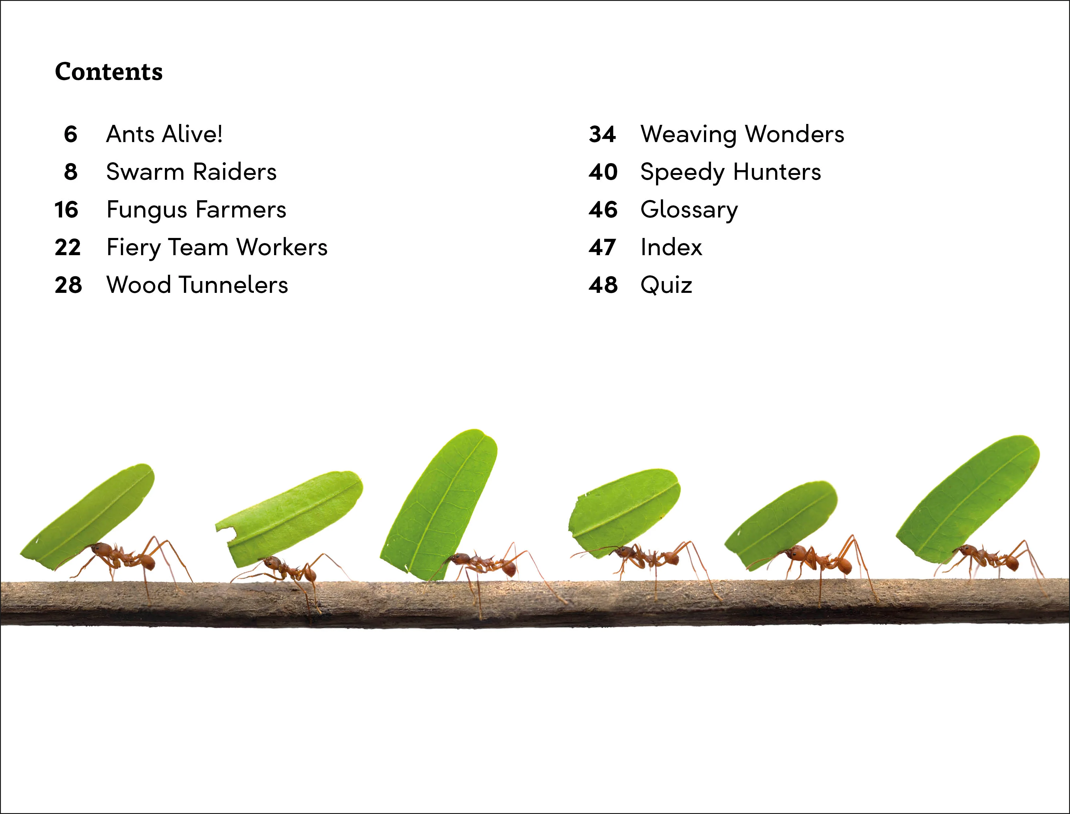 DK Super Readers Level 3 Ant Antics - Image 2