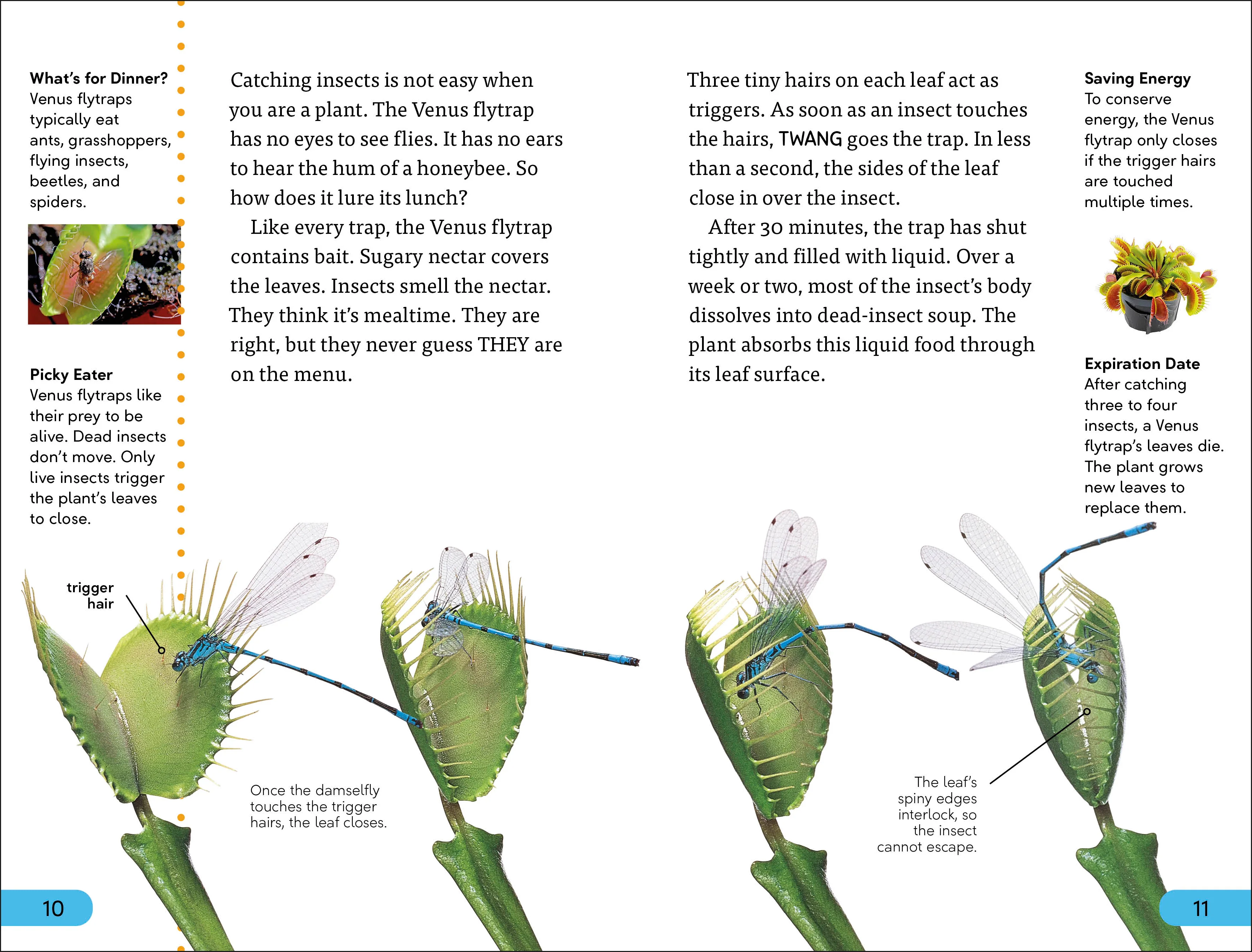 DK Super Readers Level 4 Plants Bite Back - Image 3