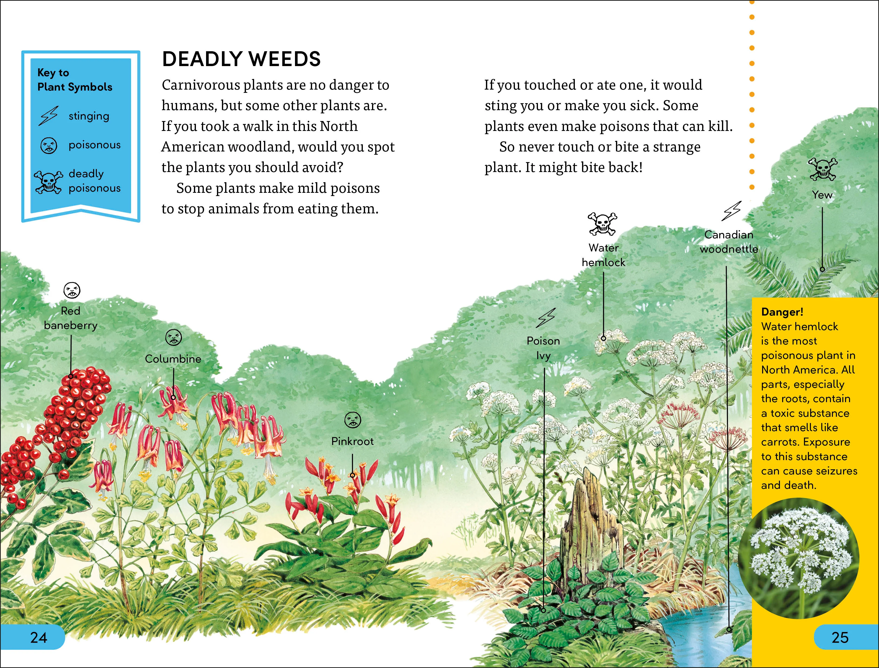 DK Super Readers Level 4 Plants Bite Back - Image 4