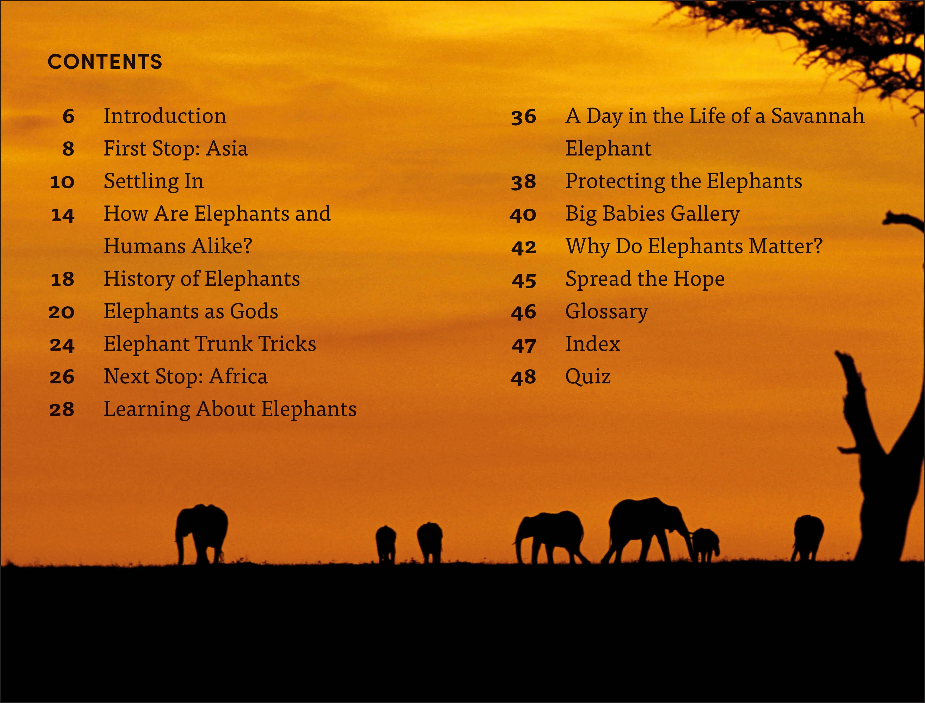 DK Super Readers Level 4 Hope for the Elephants - Image 2