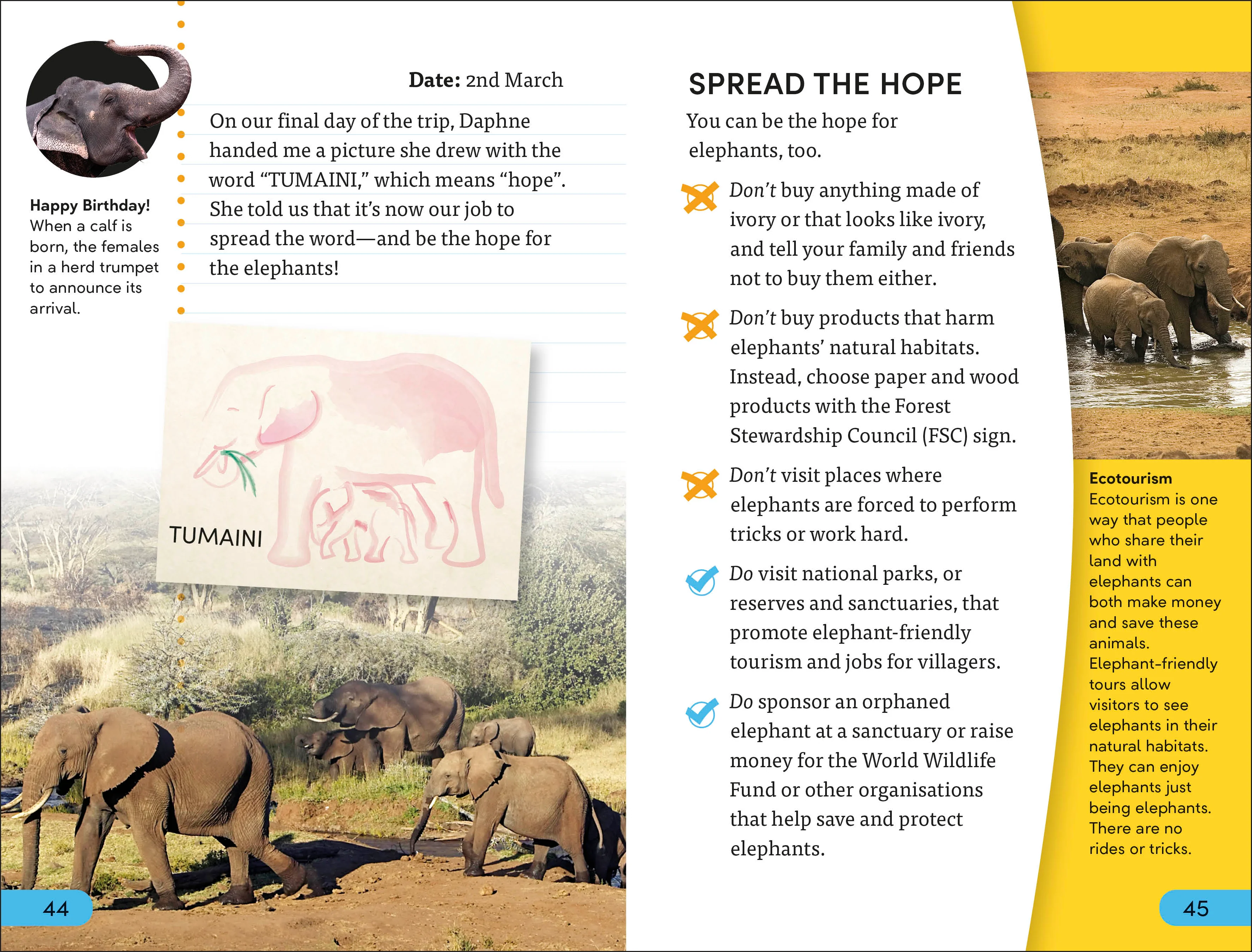 DK Super Readers Level 4 Hope for the Elephants - Image 4